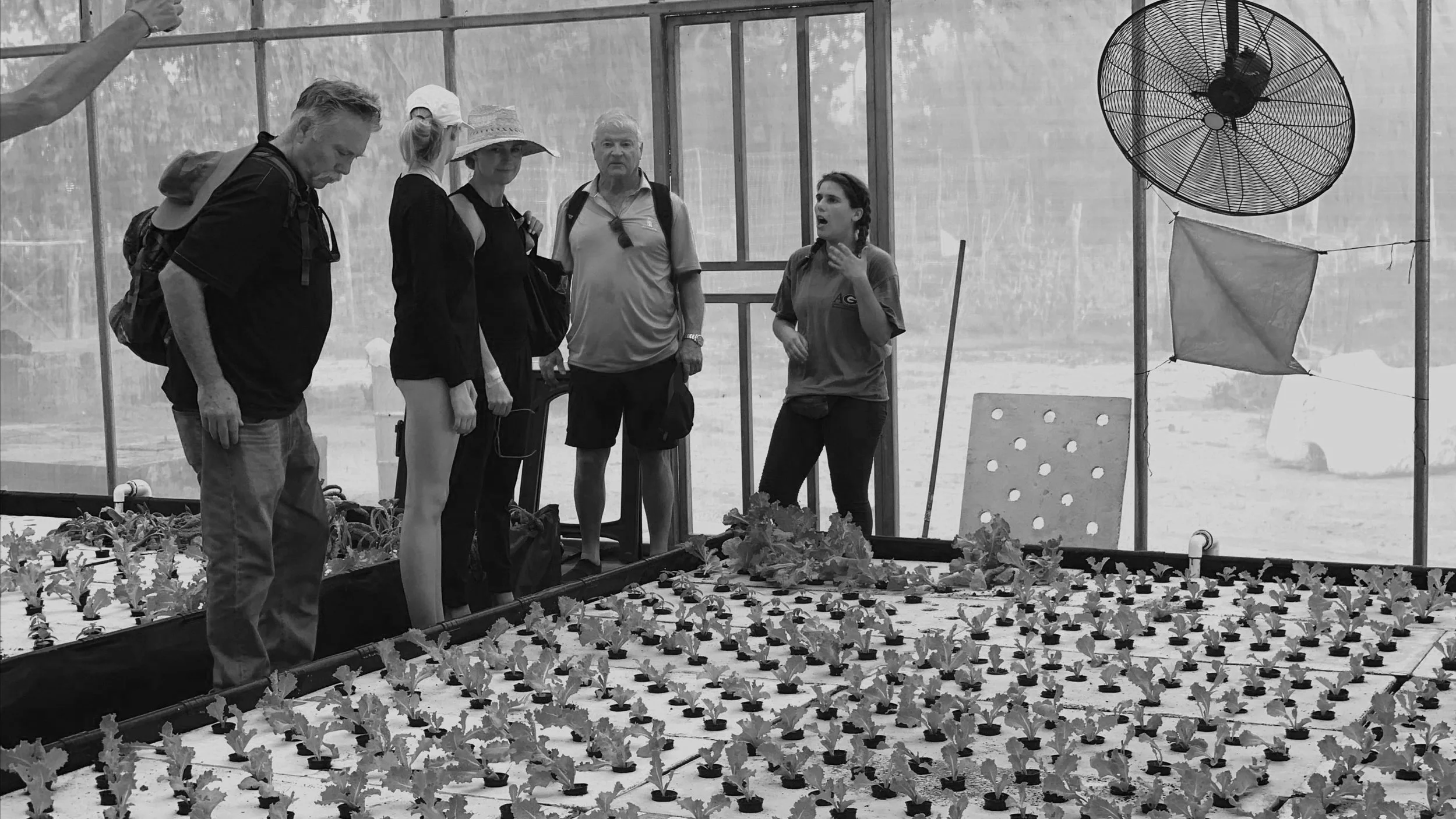 Farm update, join us on a trip, and east Africa.