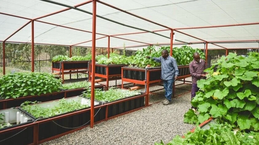 Kipkaren, Kenya