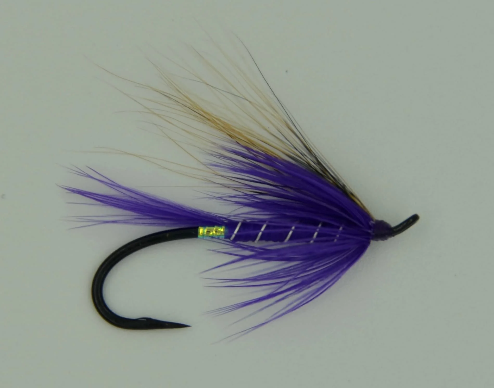#8 Purple Peril.jpg