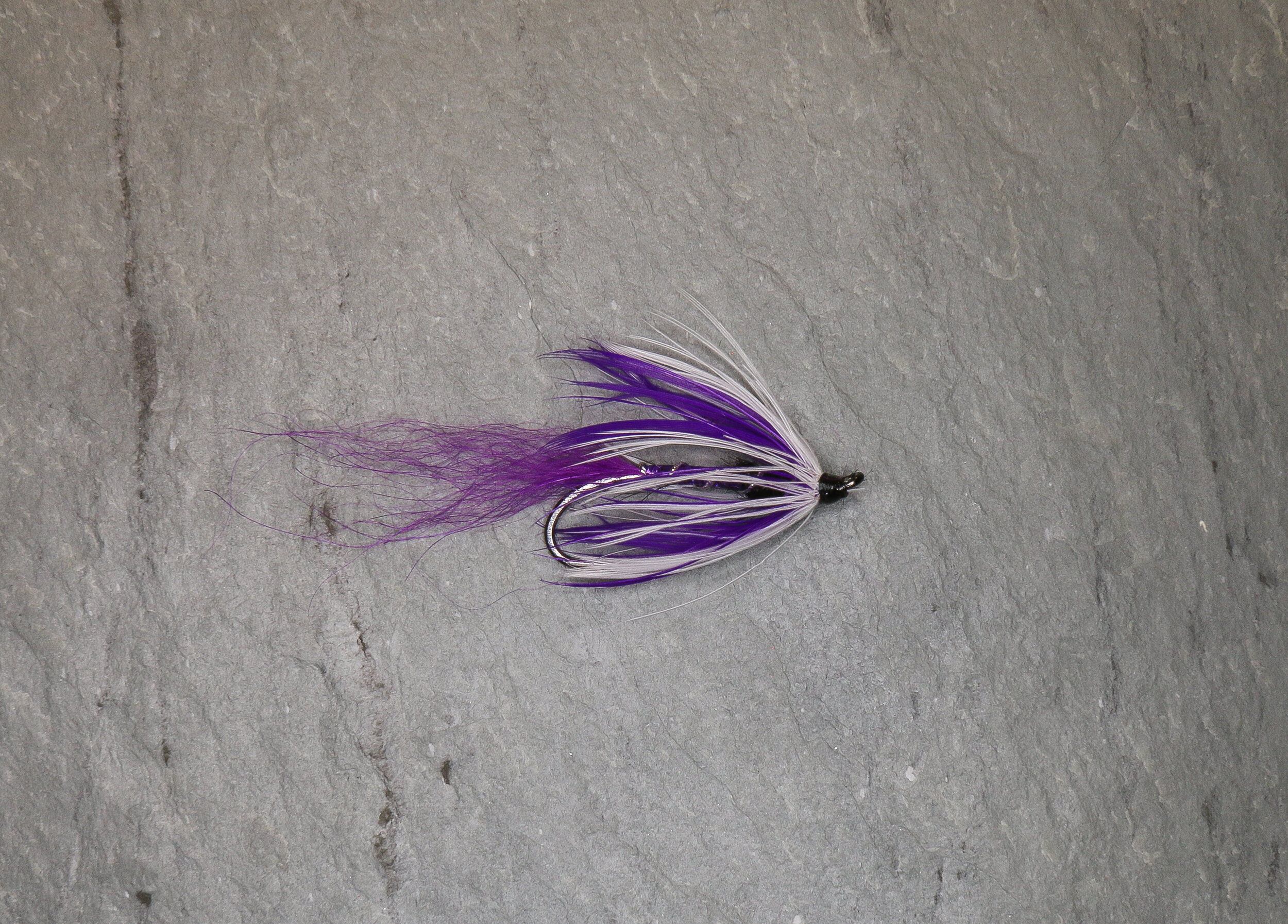 Freestyle Fly #39.jpg