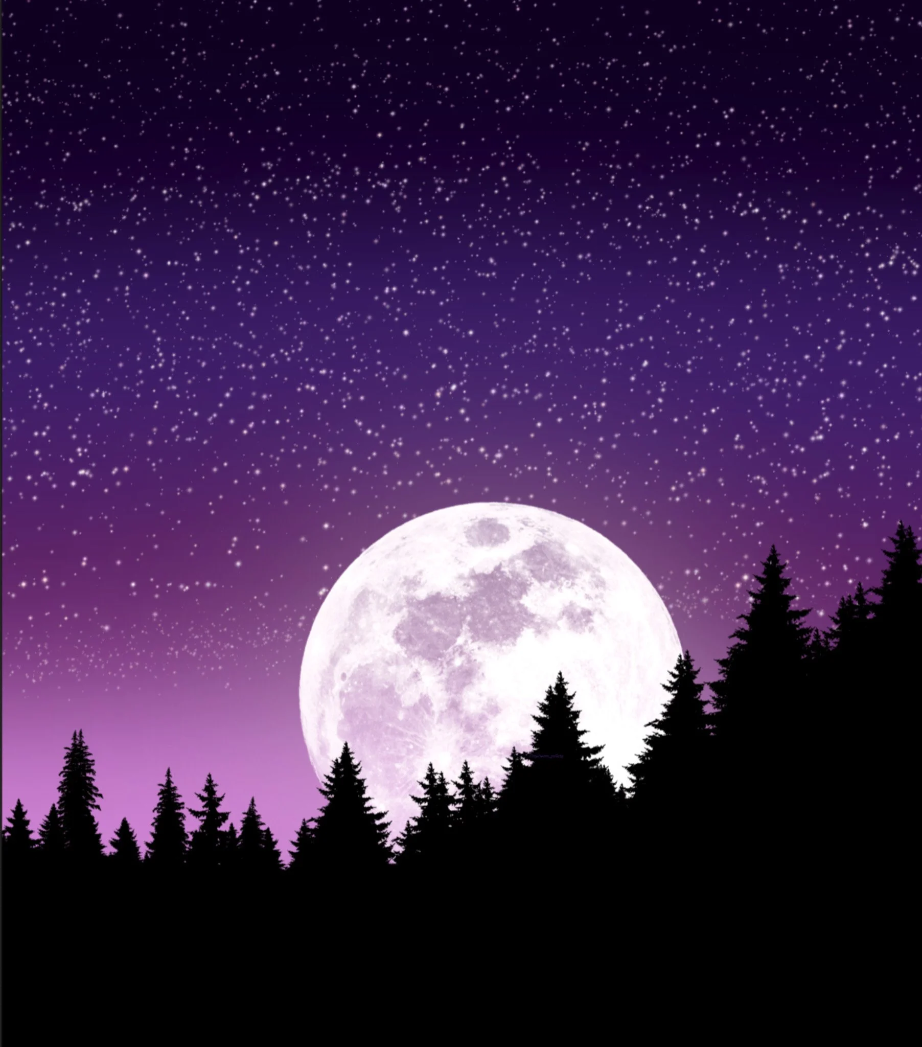 enchanted moonlit