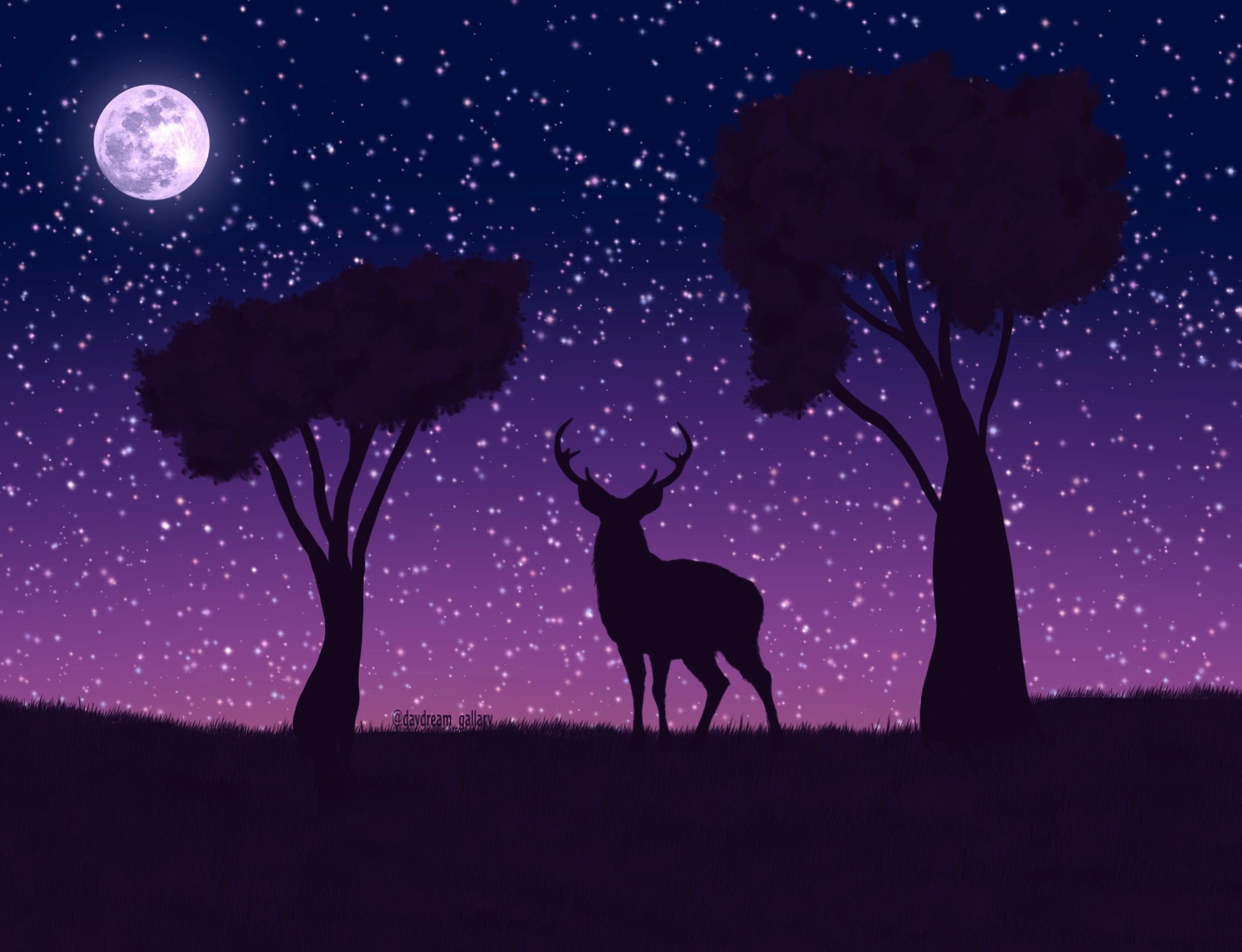 starlight meadow