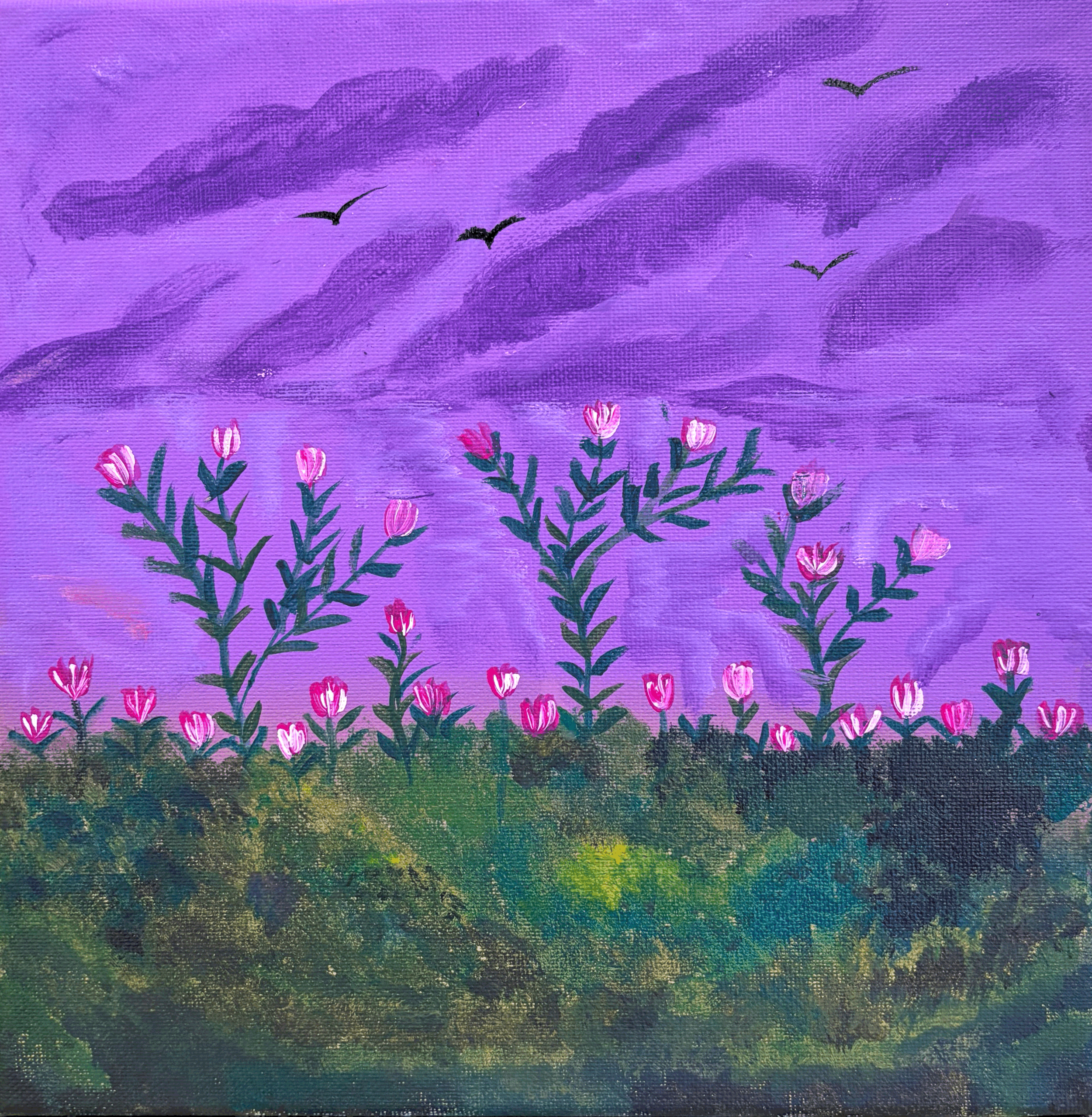twilight garden