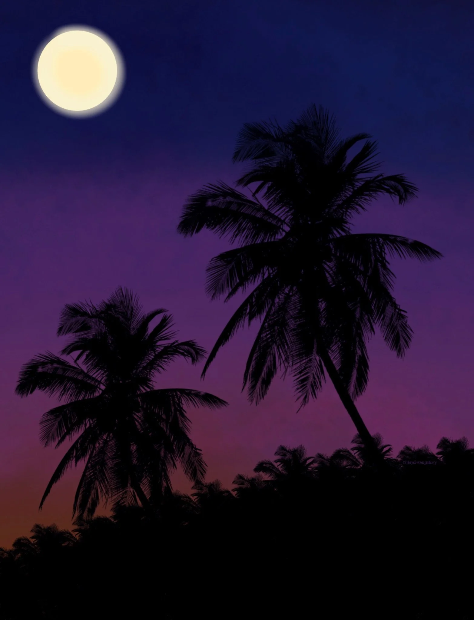 tropical at dusk