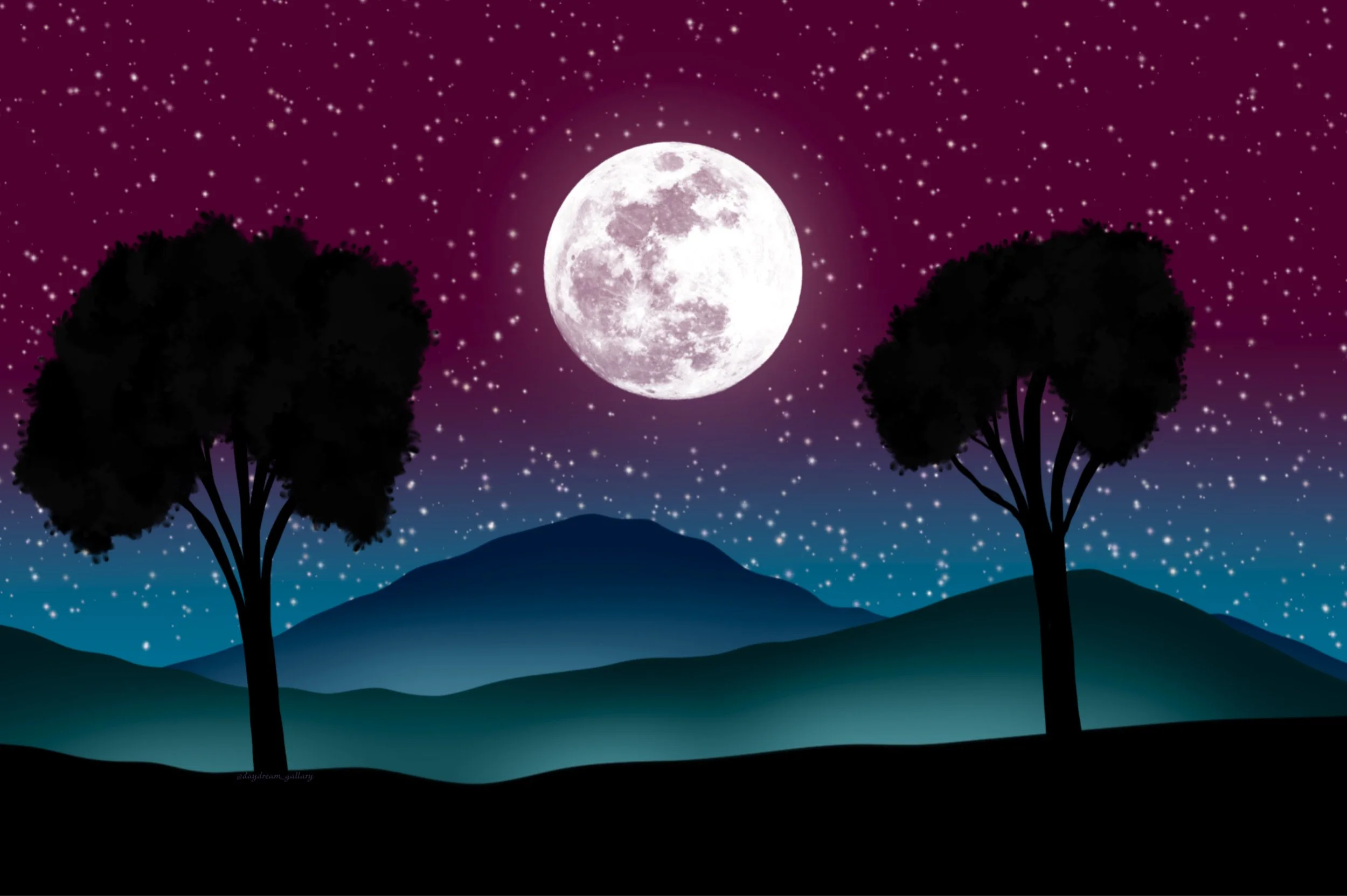 midnight paradise