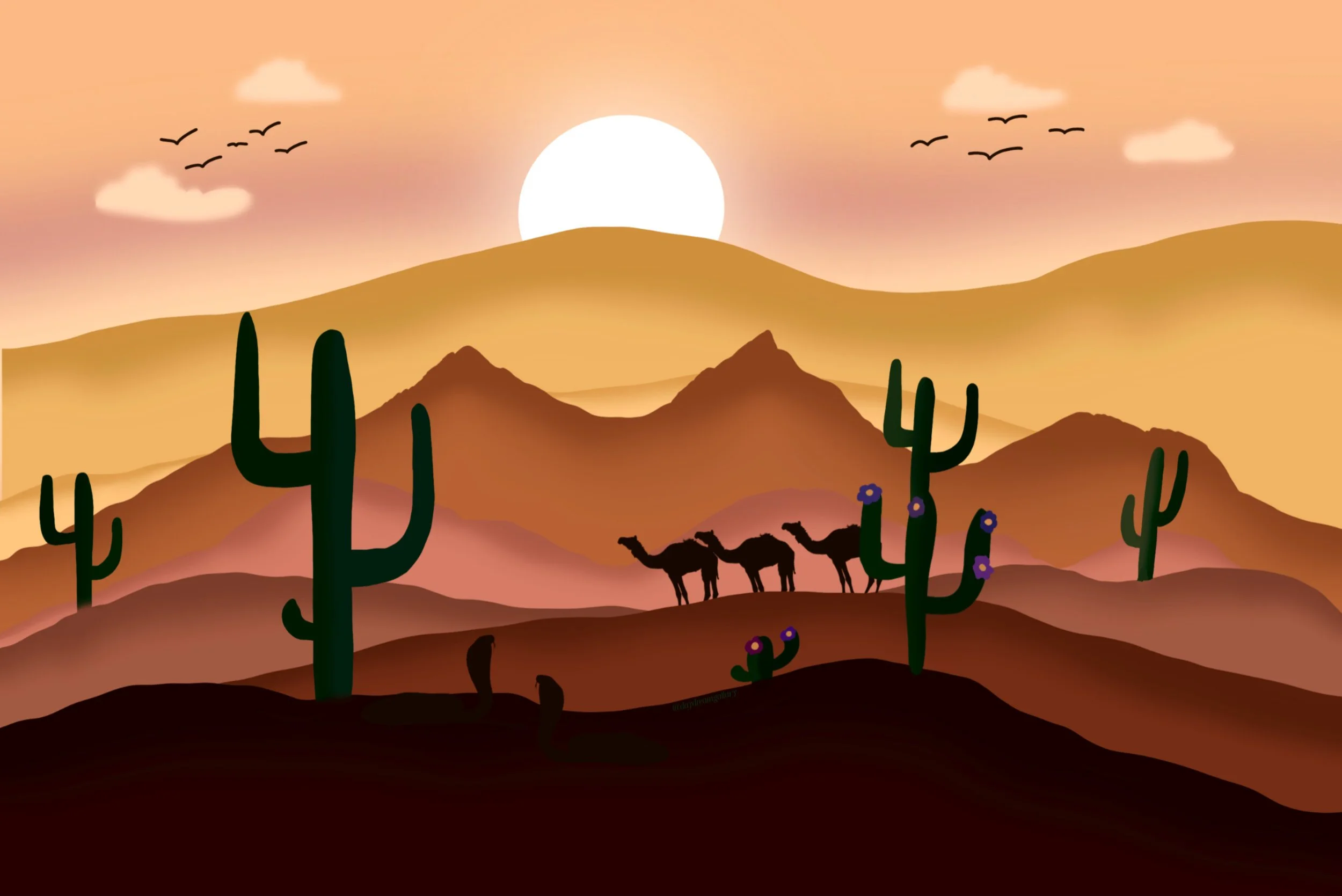 desert dreams