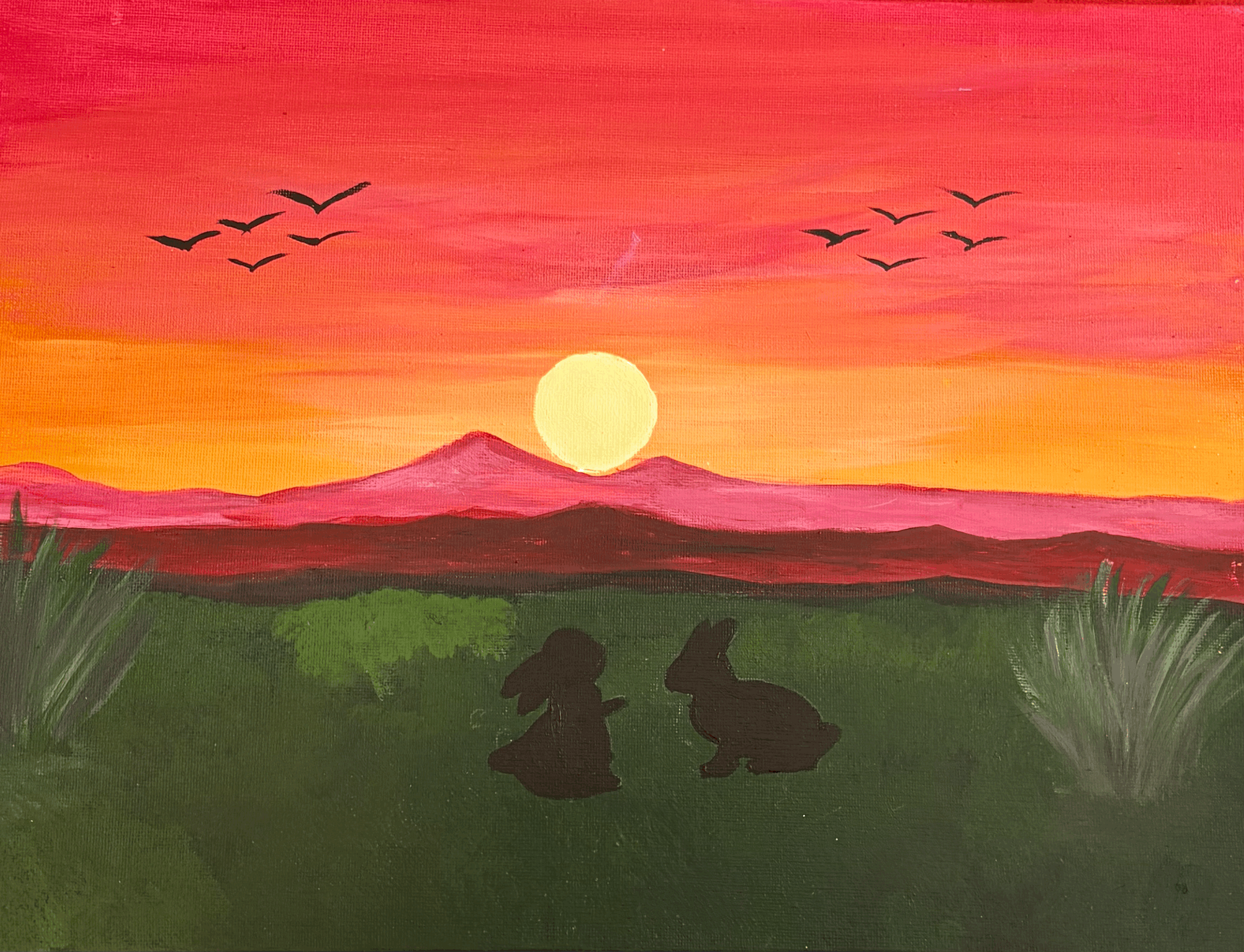 sunset meadow