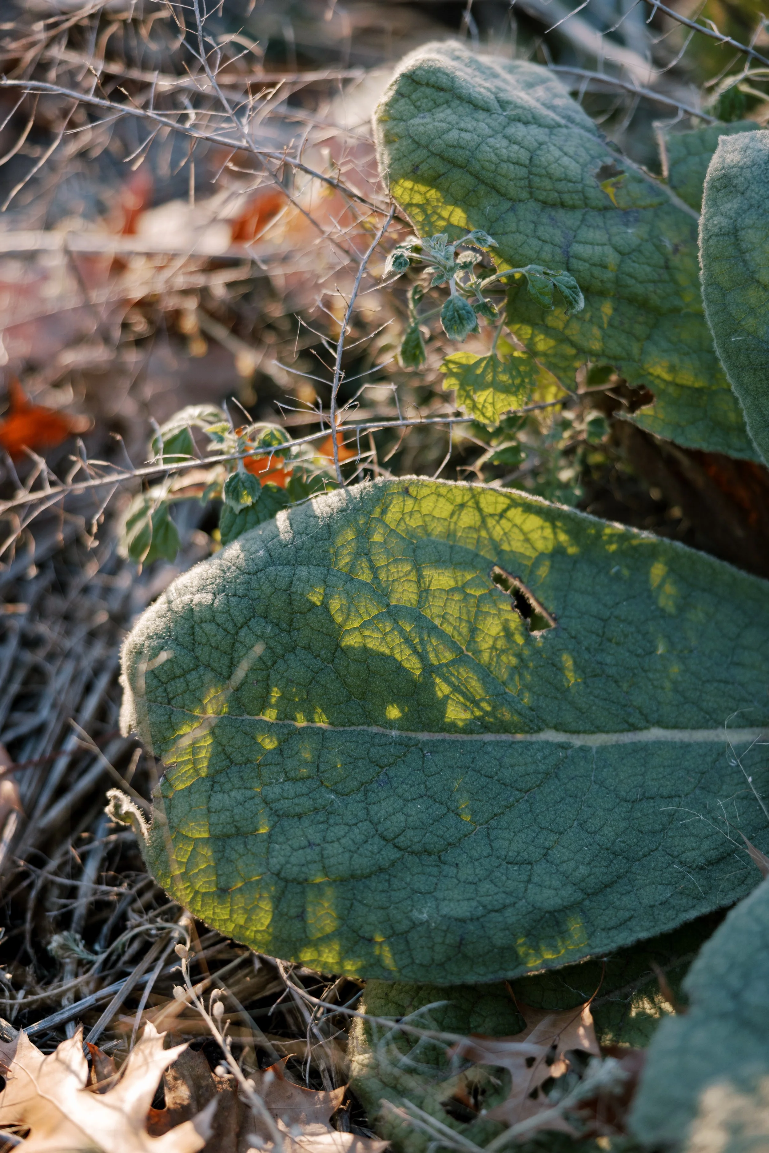MMB_2023-5.jpg