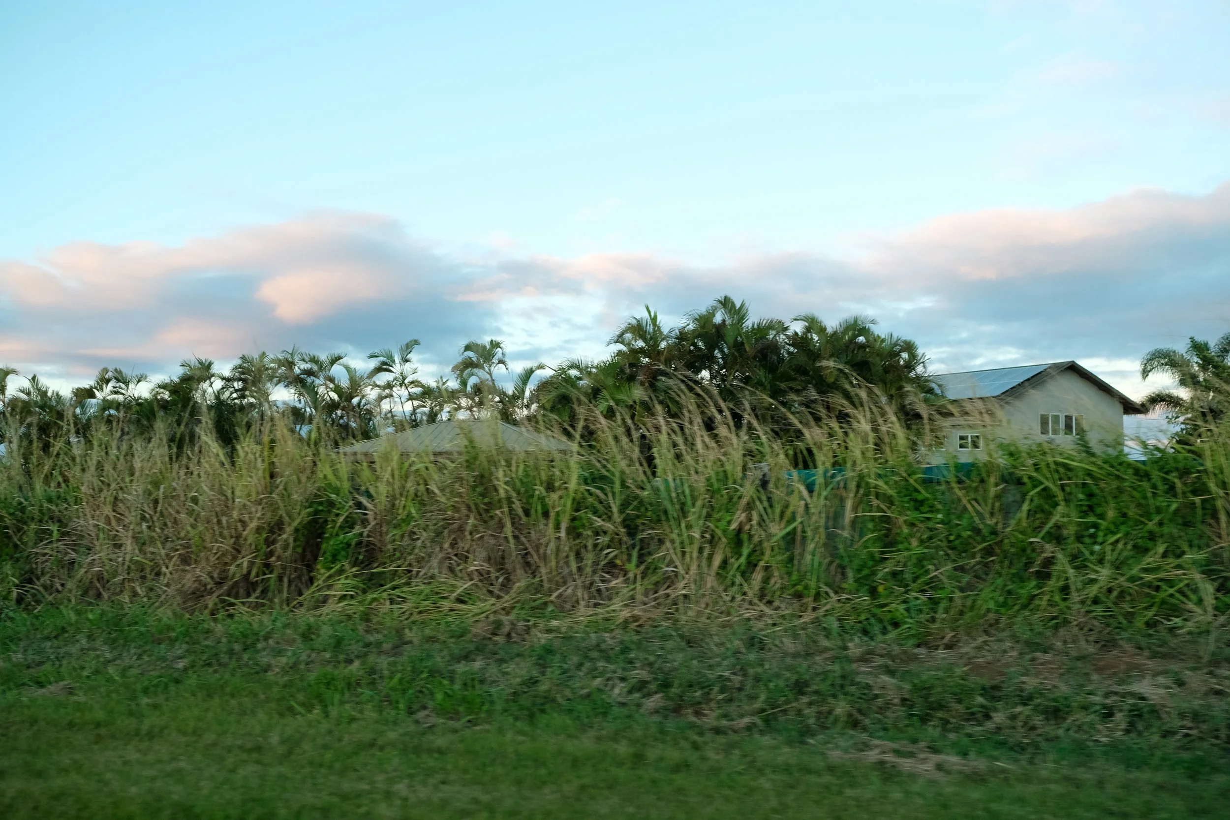Maui_2025-260.jpg