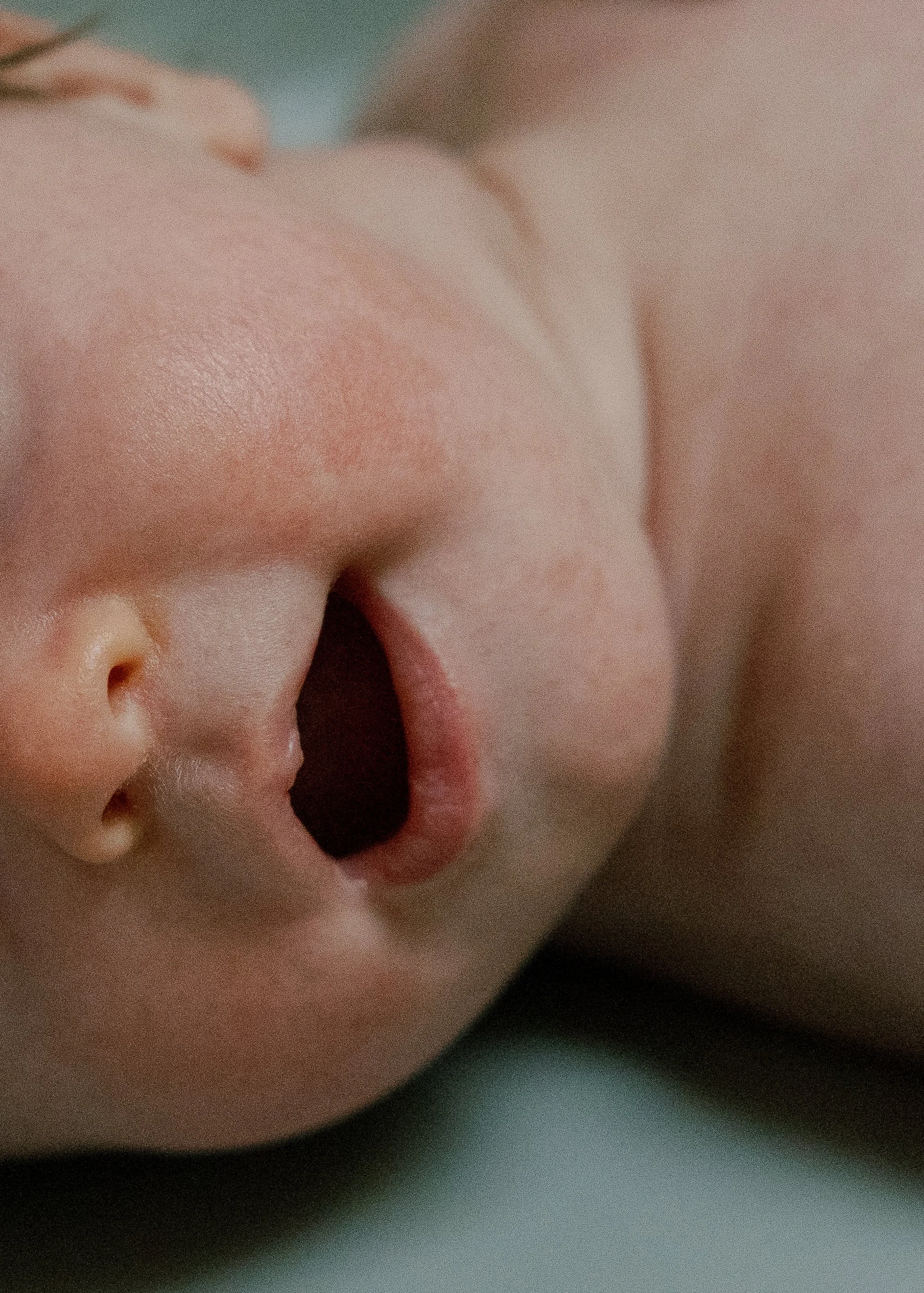 Caroline 2026-84.jpg