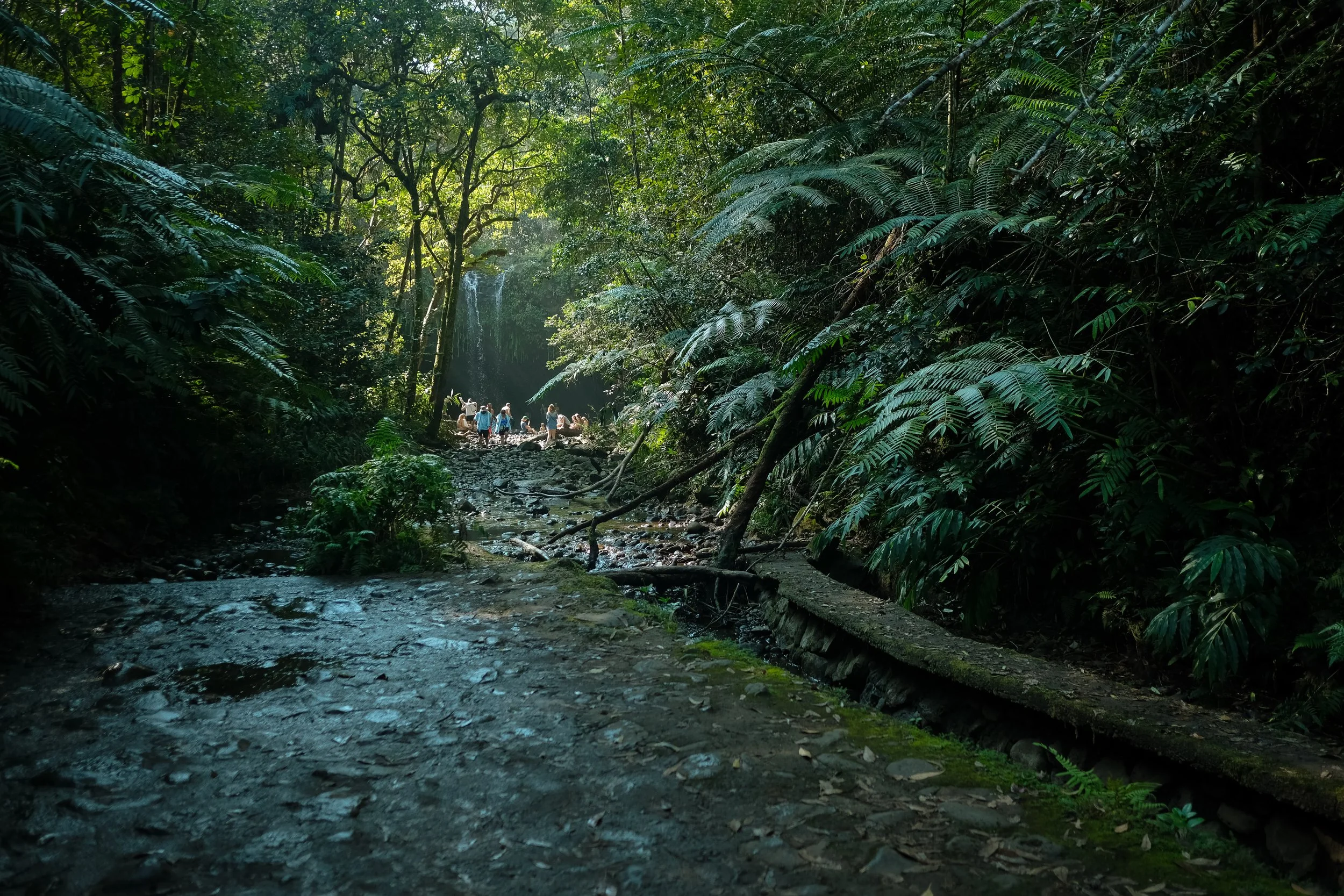 Maui_2025-145.jpg