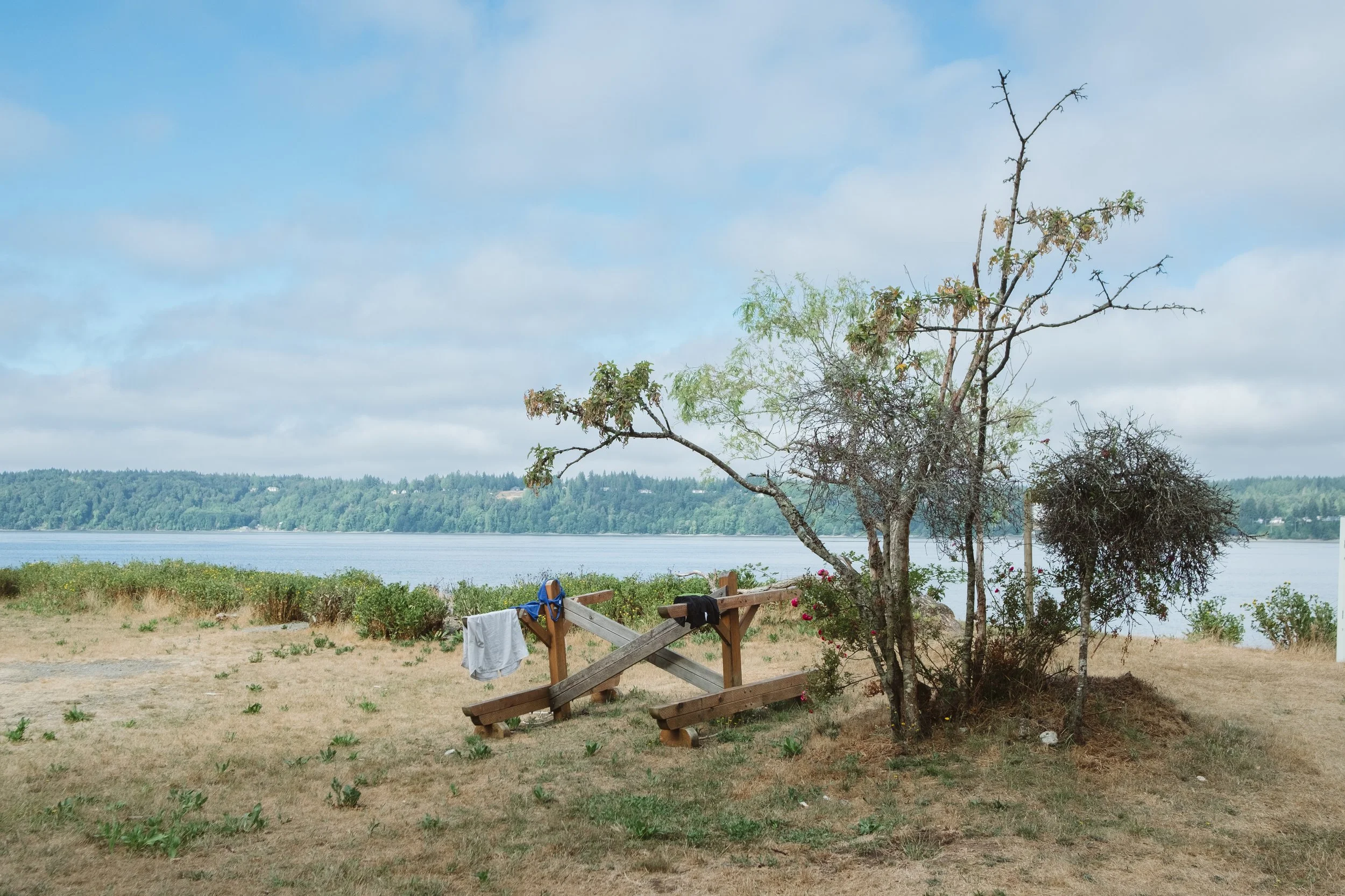 Vashon_2024-54.jpg
