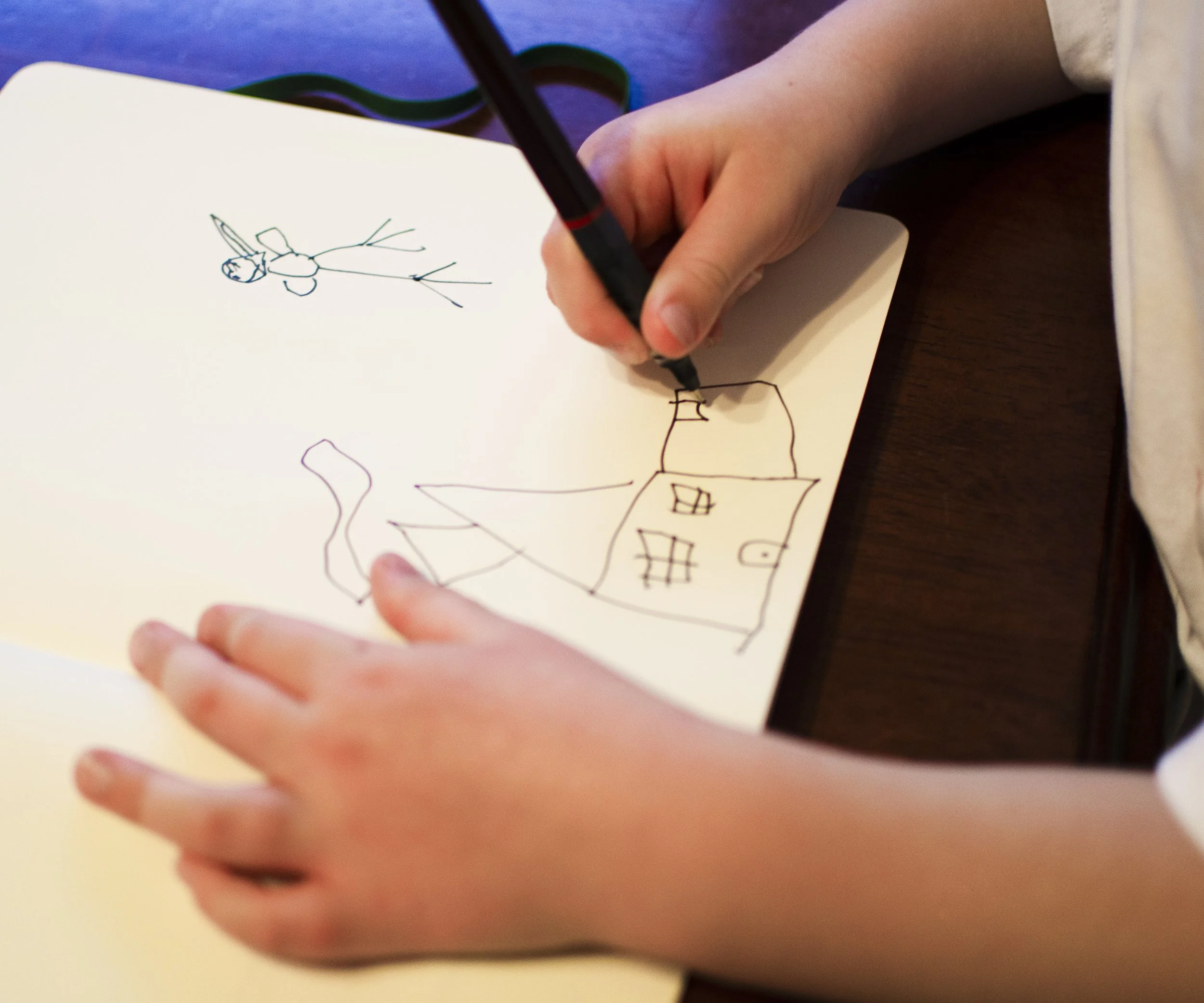 A young child's hand drawing on a white sheet of paper with a black pen, creating simple sketches of a house and an owl.