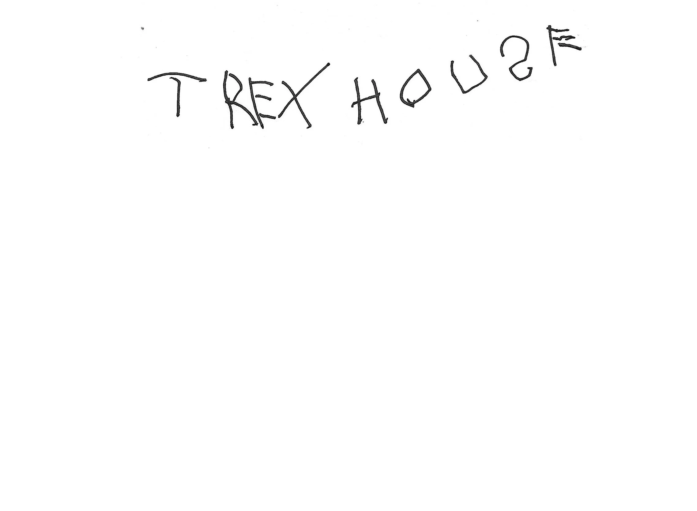 A young child's attempt at writing 'T Rex' and 'house'.