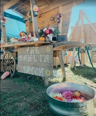 Local 401 Artists X The Dahlia Patch