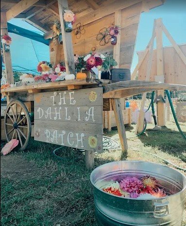 Local 401 Artists X The Dahlia Patch