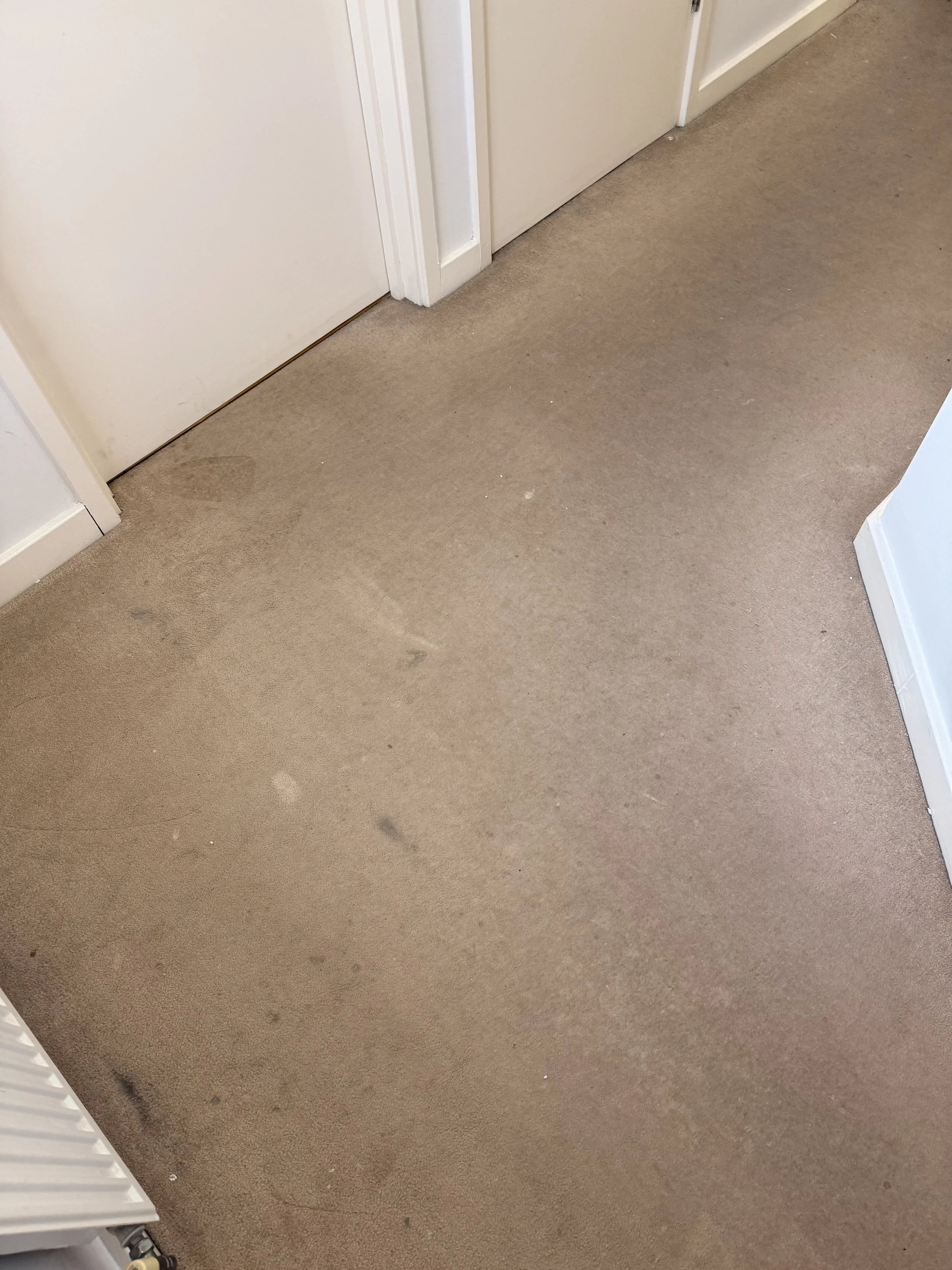 Carpet Cleaning Telford 1.jpeg