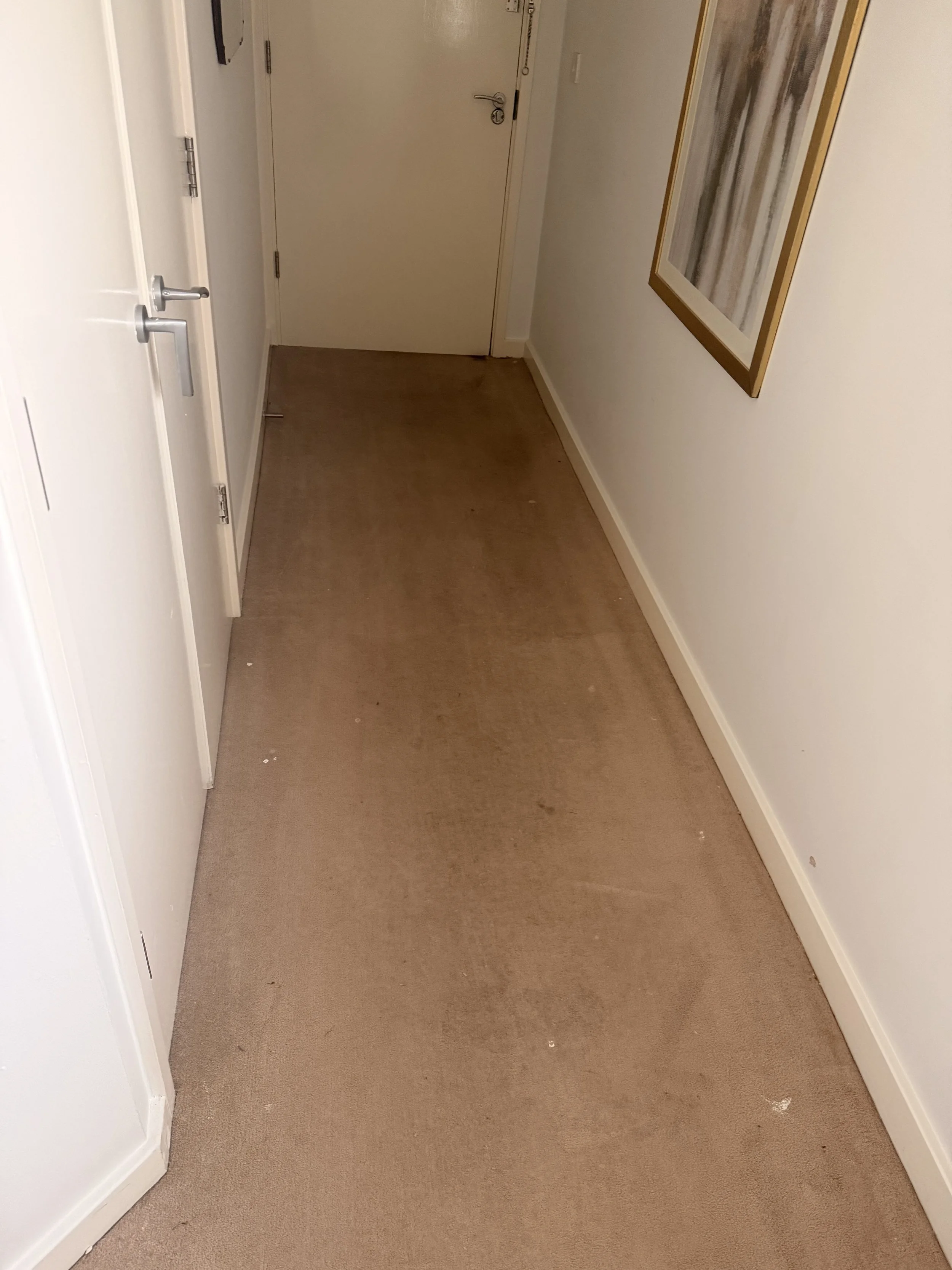 Carpet Cleaning Telford 8.jpeg