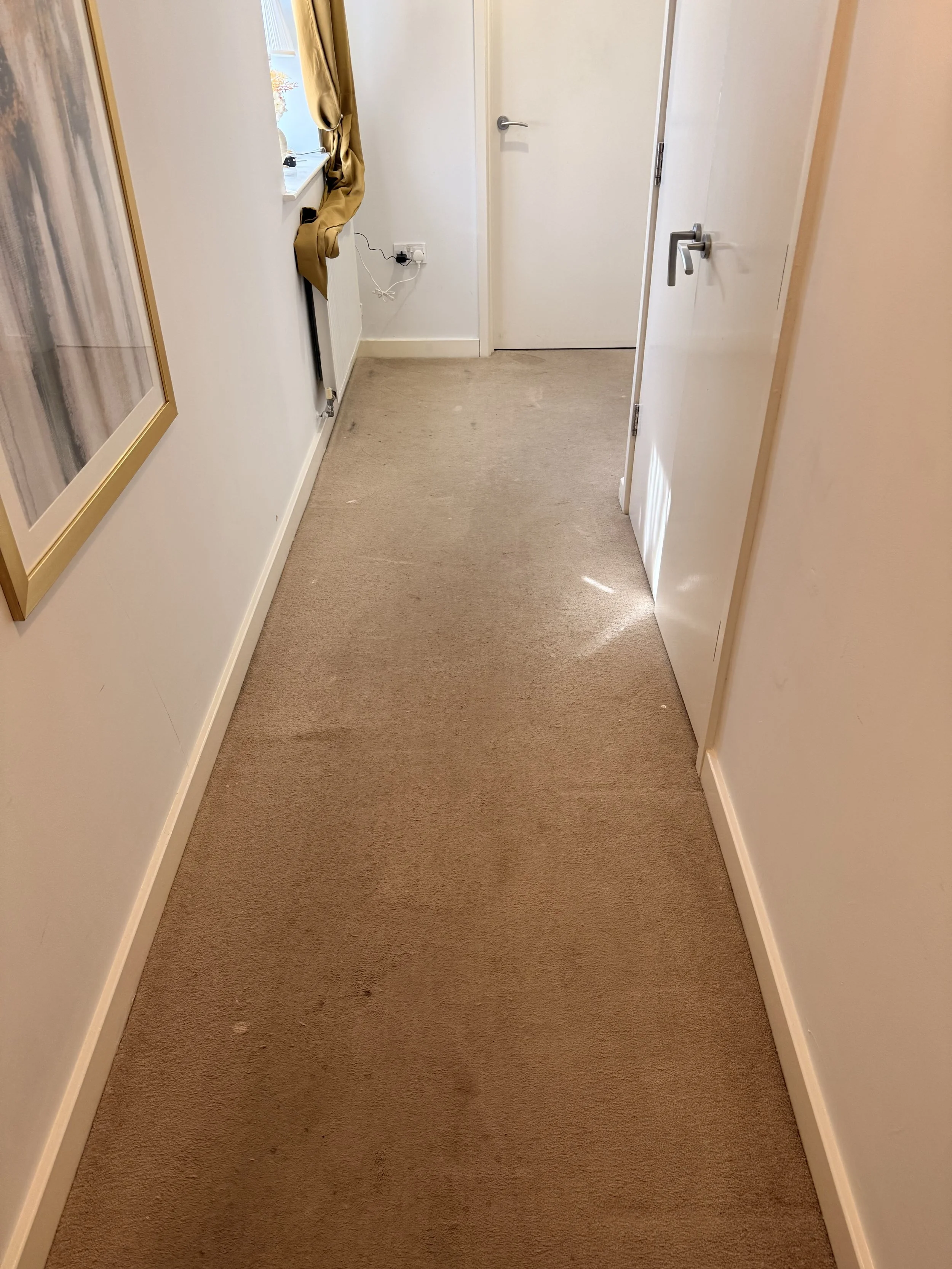 Carpet Cleaning Telford 7.jpeg