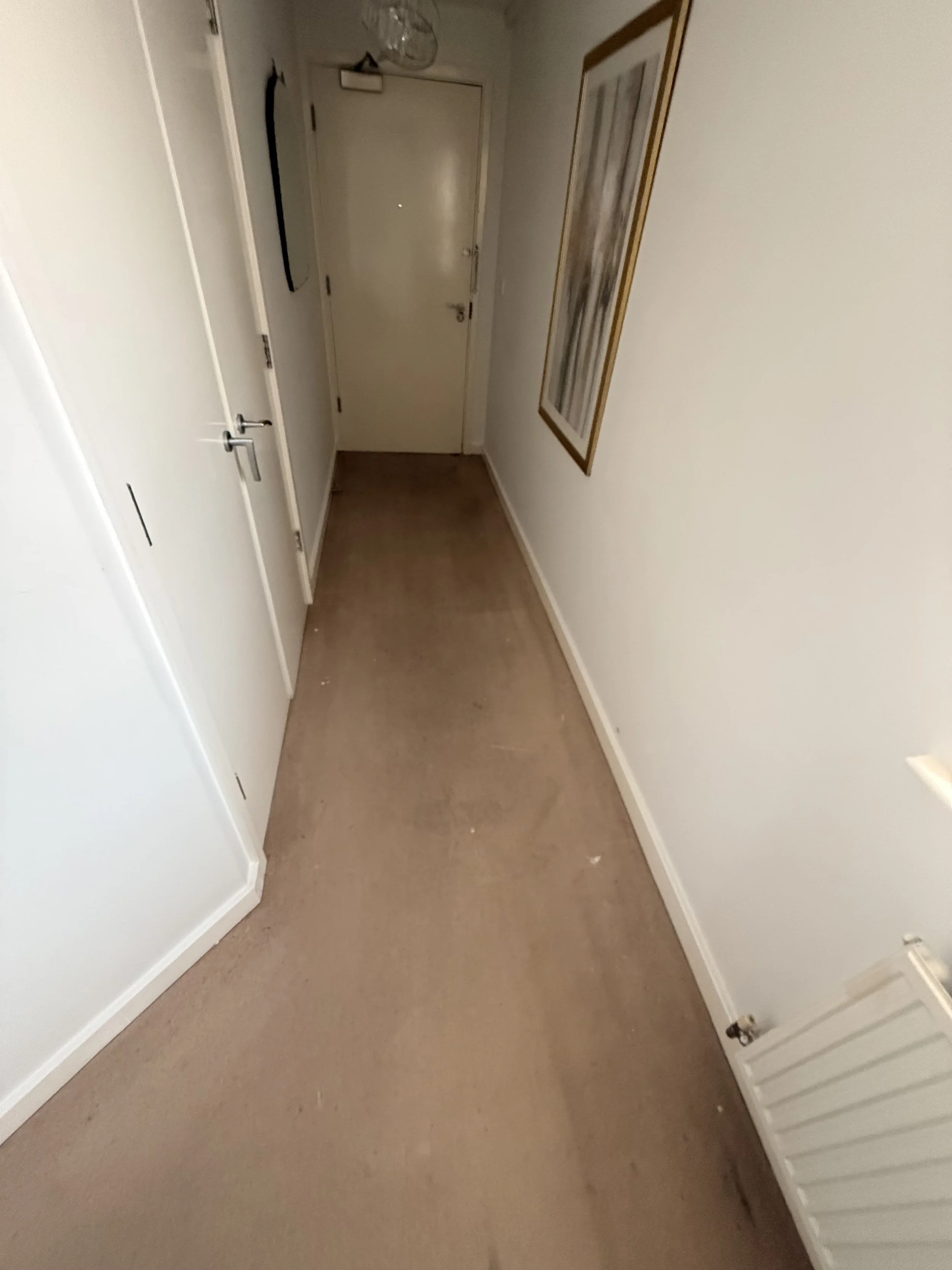 Carpet Cleaning Telford 4.jpeg