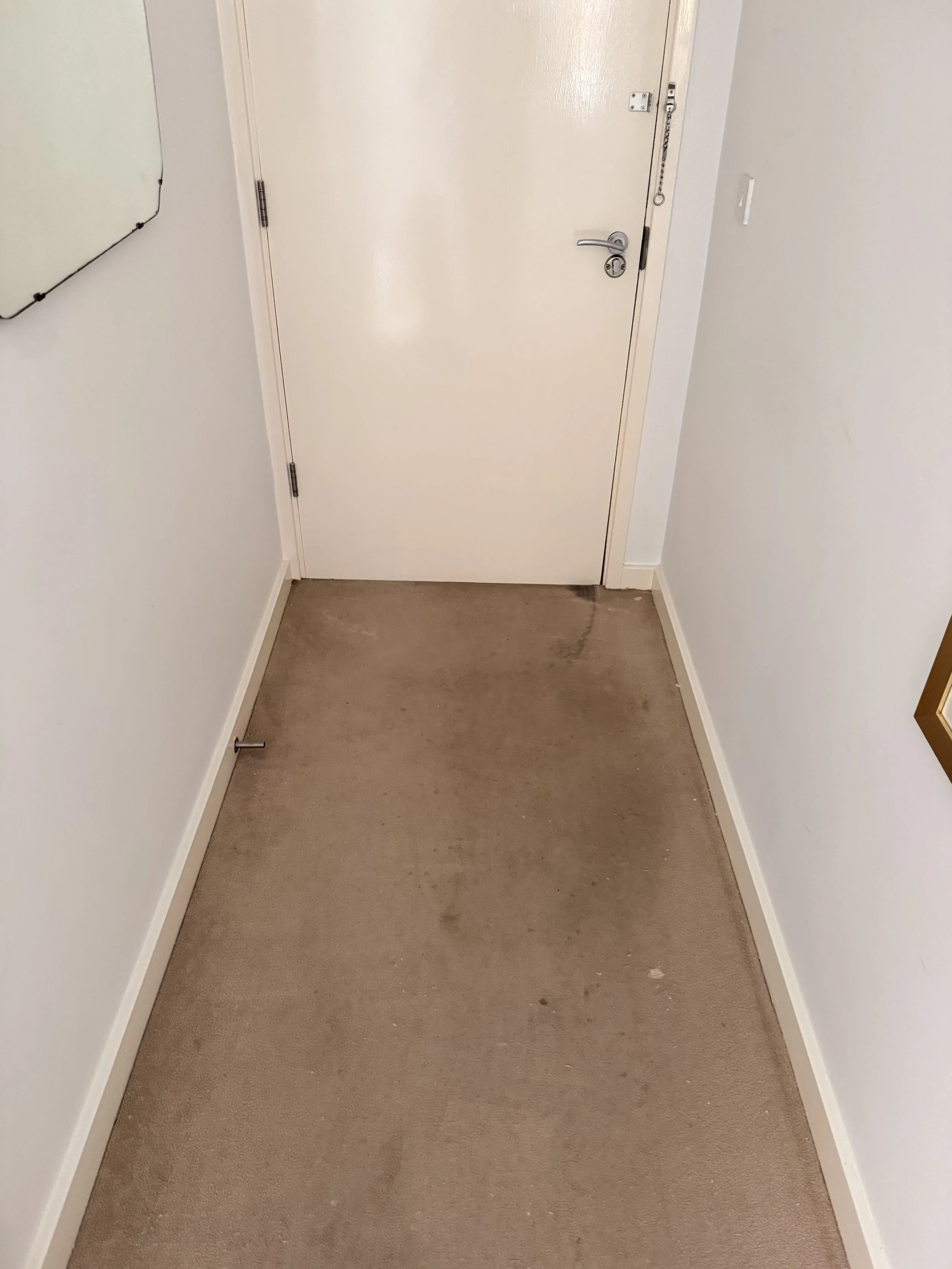 Carpet Cleaning Telford 6.jpeg