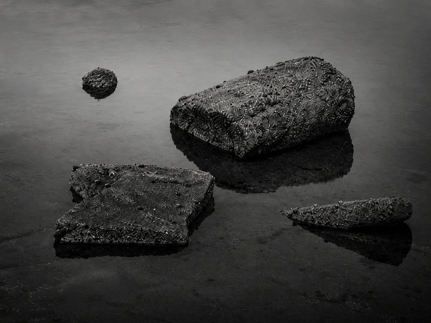 Fragments by P Scotter