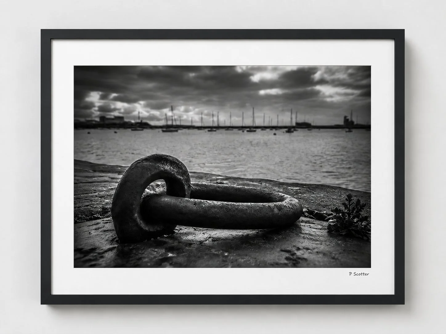 Harbour Rings