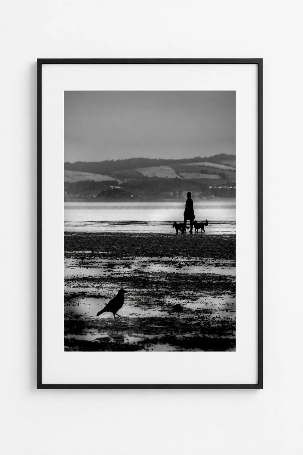 Before The Crow Flies by P Scotter