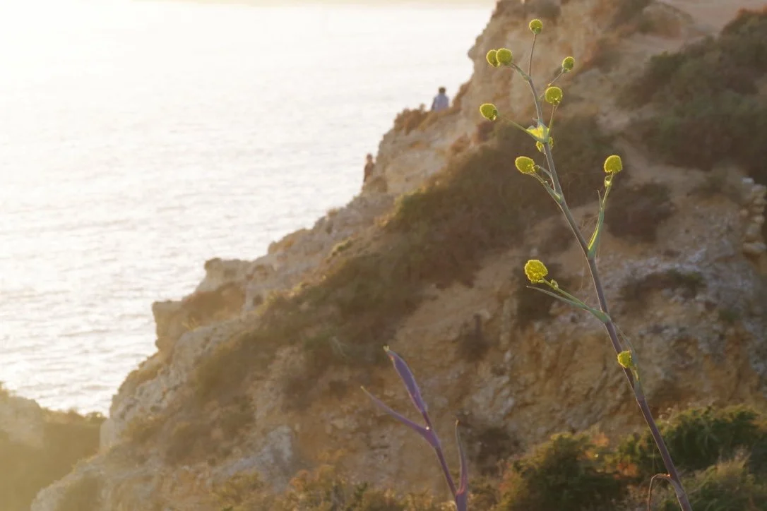 Algarve, Portugal: Exploring, Traveling and Takeaways