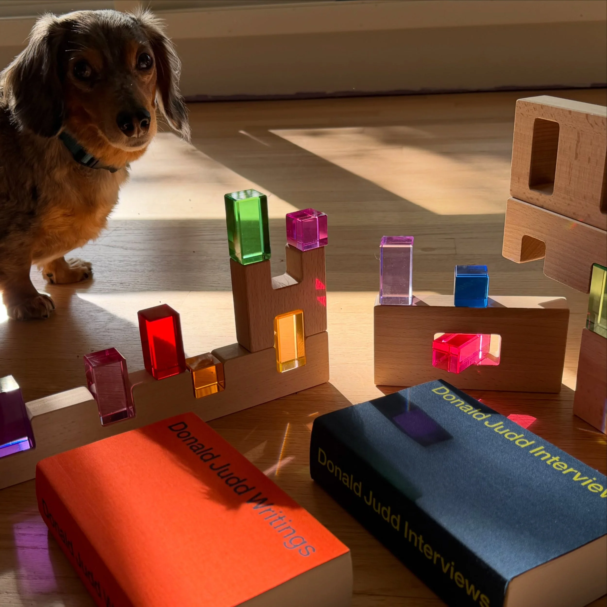 We love stacking our colorful @maisonruekid blocks in the sunshine next to our other favorite stack maker @juddfoundation 🟪 🟥 🟧 🟨 🟩 🟦 (Pip the dachshund seen for scale, not for sale!) 🐾