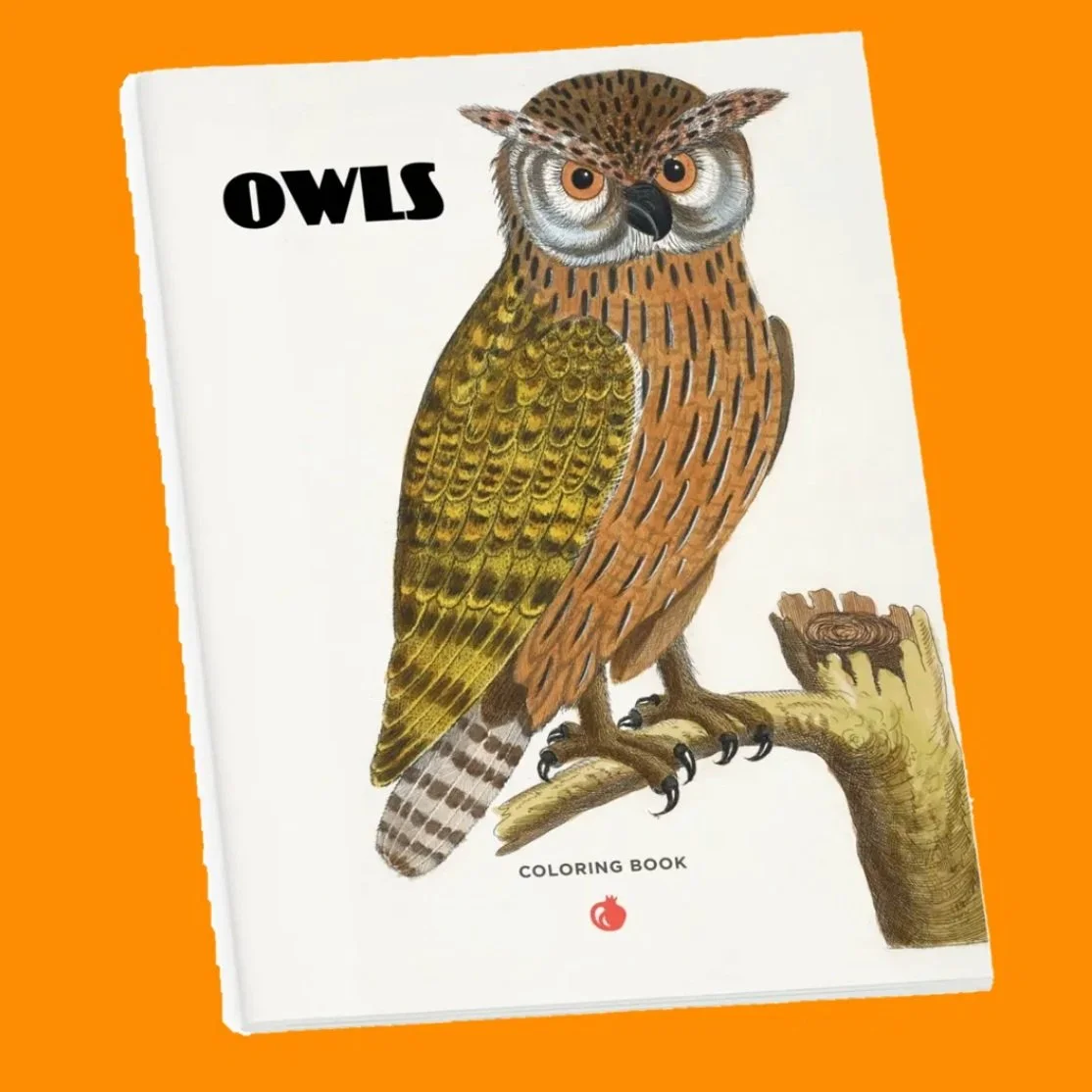 Barn owls, barred owls, short-eared owls, burrowing owls, great horned owls&mdash;all of these magnificent birds are represented in this coloring book, illustrated by a variety of artists, including John Gould and Robert Havell Jr. The line drawings 