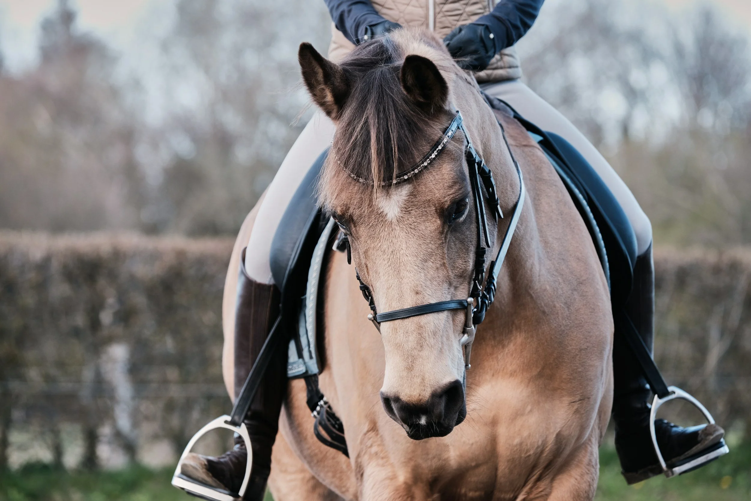 Close-up of a rider wearing gloves on horseback in an outdoor setting with blurred trees in the background.