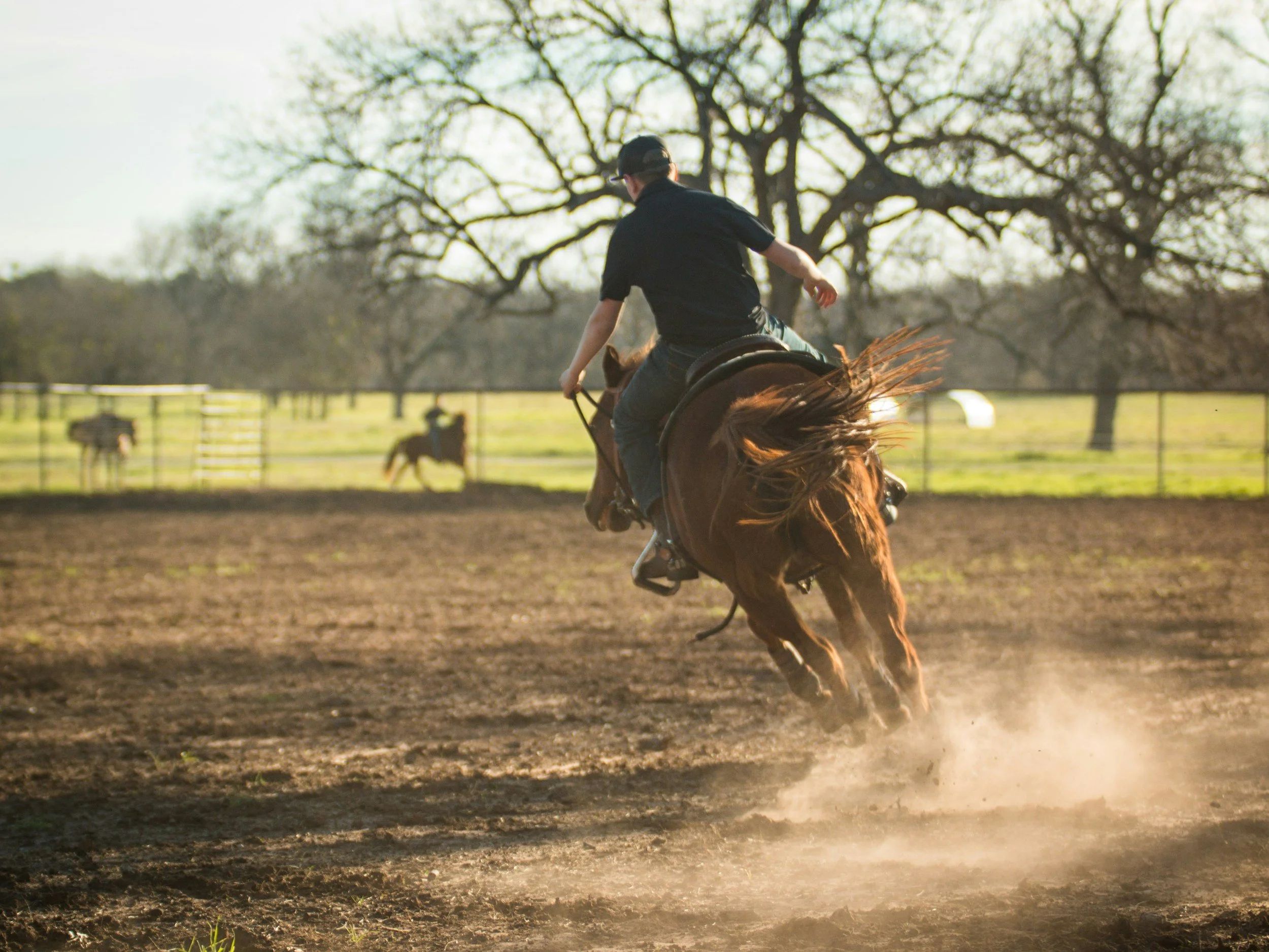A person riding a horse in an outdoor arena, kicking up dust as they move, with a background of trees and a fence, during daytime.