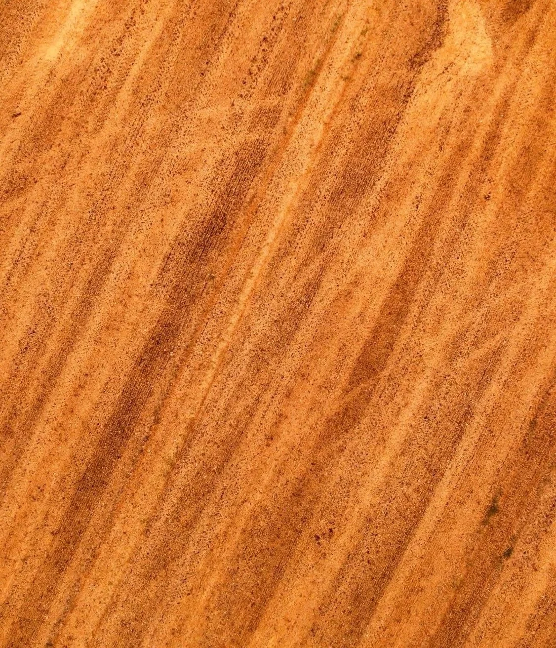 Nahaufnahme eines Holztisches mit sichtbarer Maserung, in warmen Tönen.