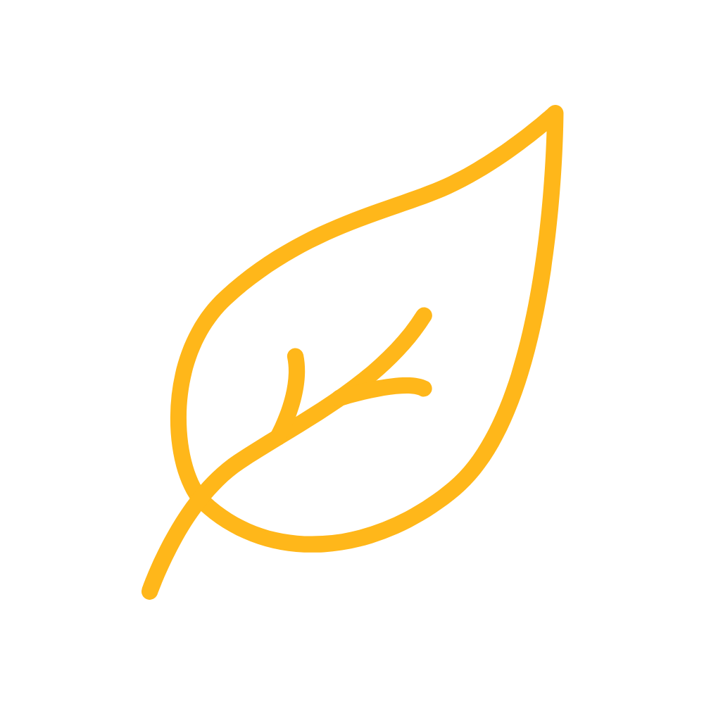 Outline of a leaf in orange against a black background.