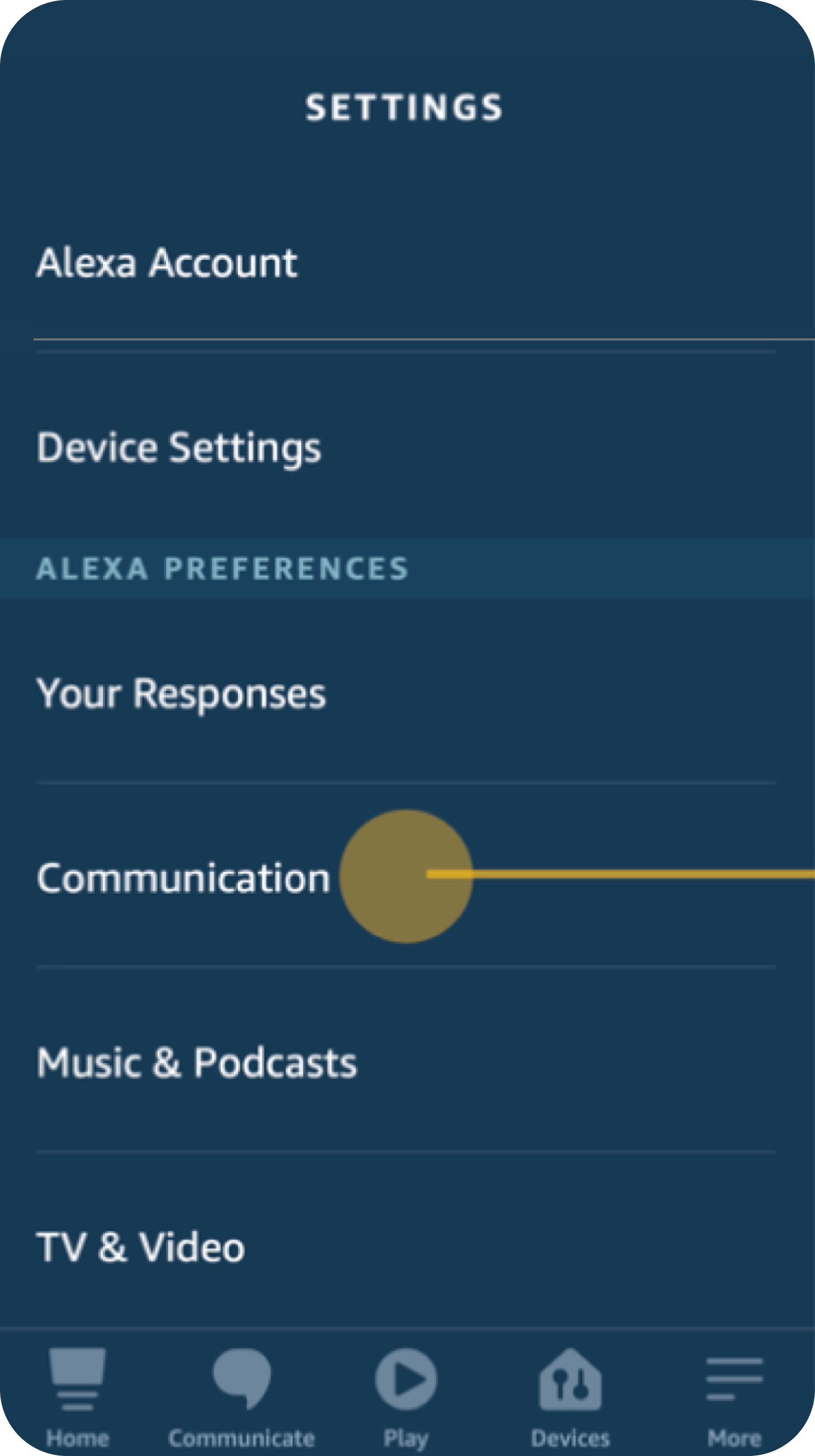 Alexa settings