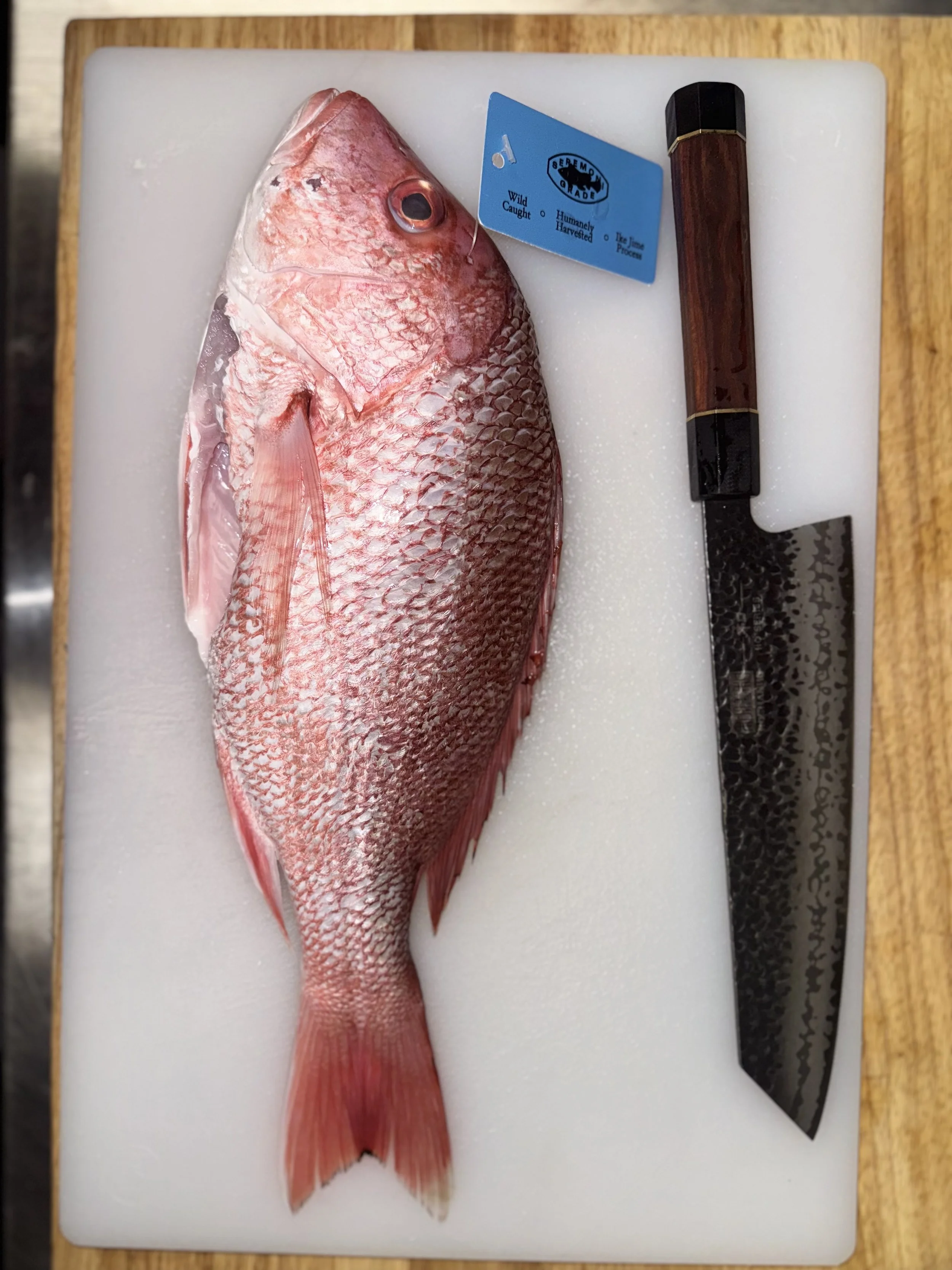 Fresh red snapper fish on a white cutting board with a serrated knife and a blue seafood grade tag.