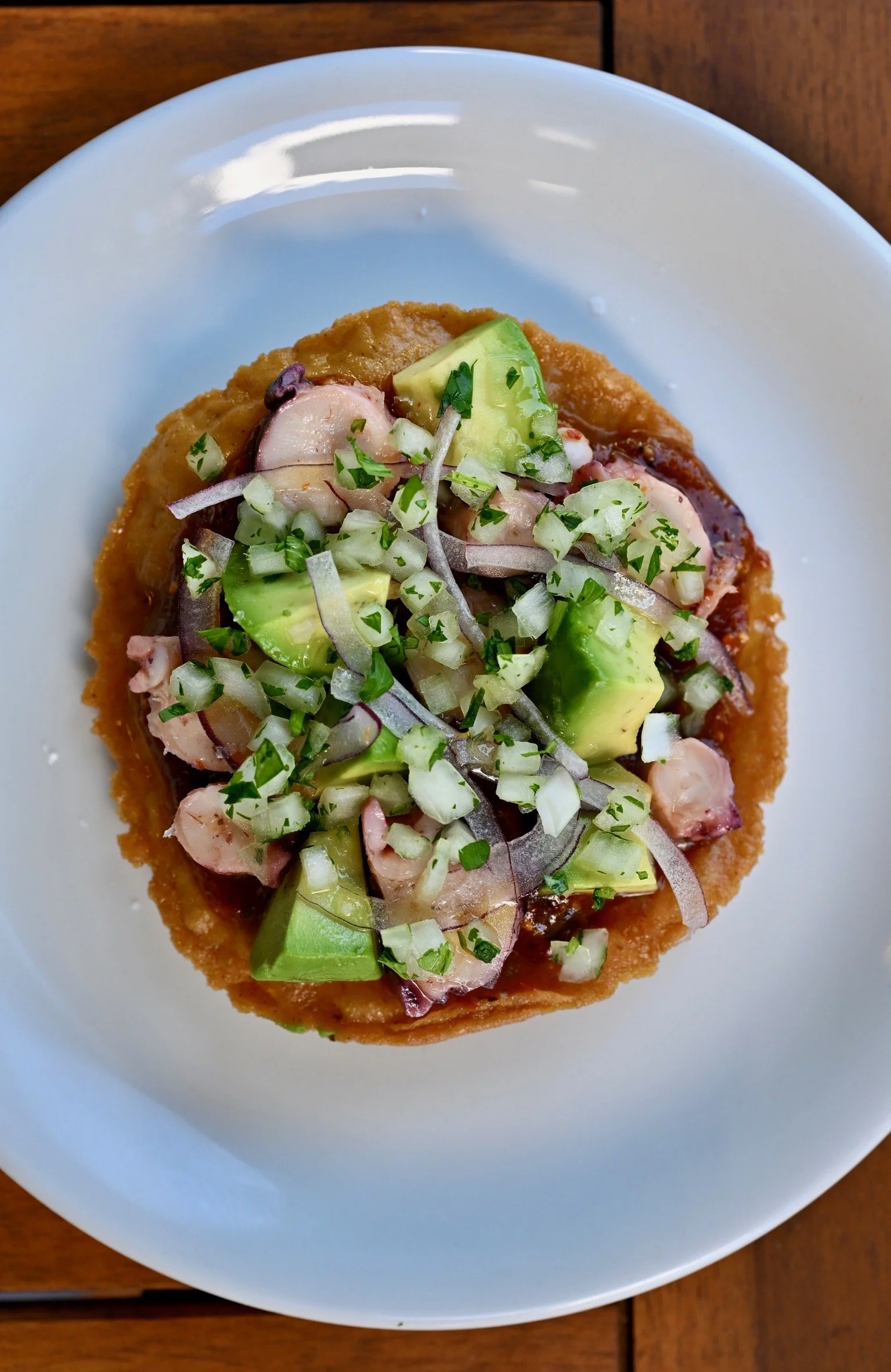 Close-up of a tostada topped with chopped onions, cilantro, sliced avocado, and seafood, on a white plate.