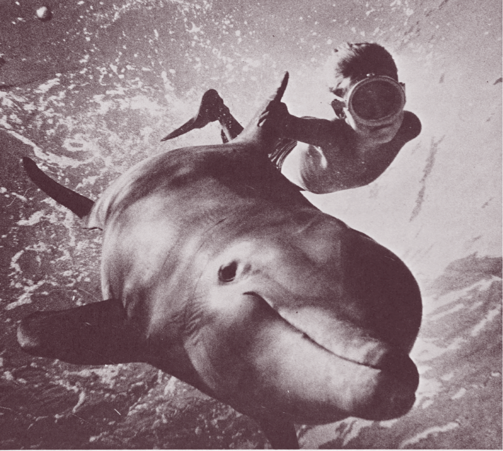 The image is very dark and details are not visible.