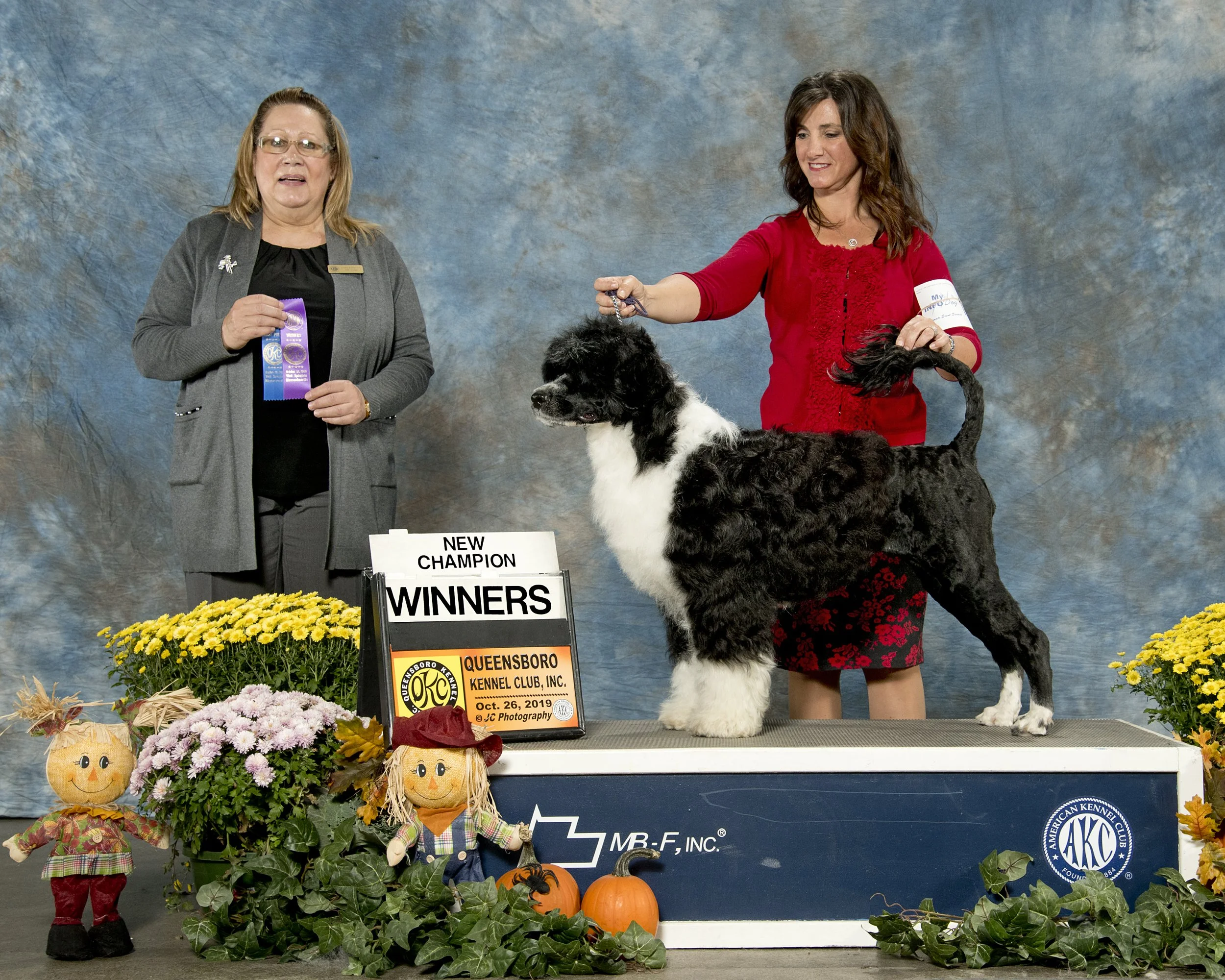 Two women presenting a black and white dog with curly fur at a dog show. One woman is holding the dog's leash, and the other is holding ribbons. There are flowers, pumpkins, and scarecrow decorations in the foreground, with a blue mottled background. A sign indicates the event is the Queensboro Kennel Club, October 26, 2019.