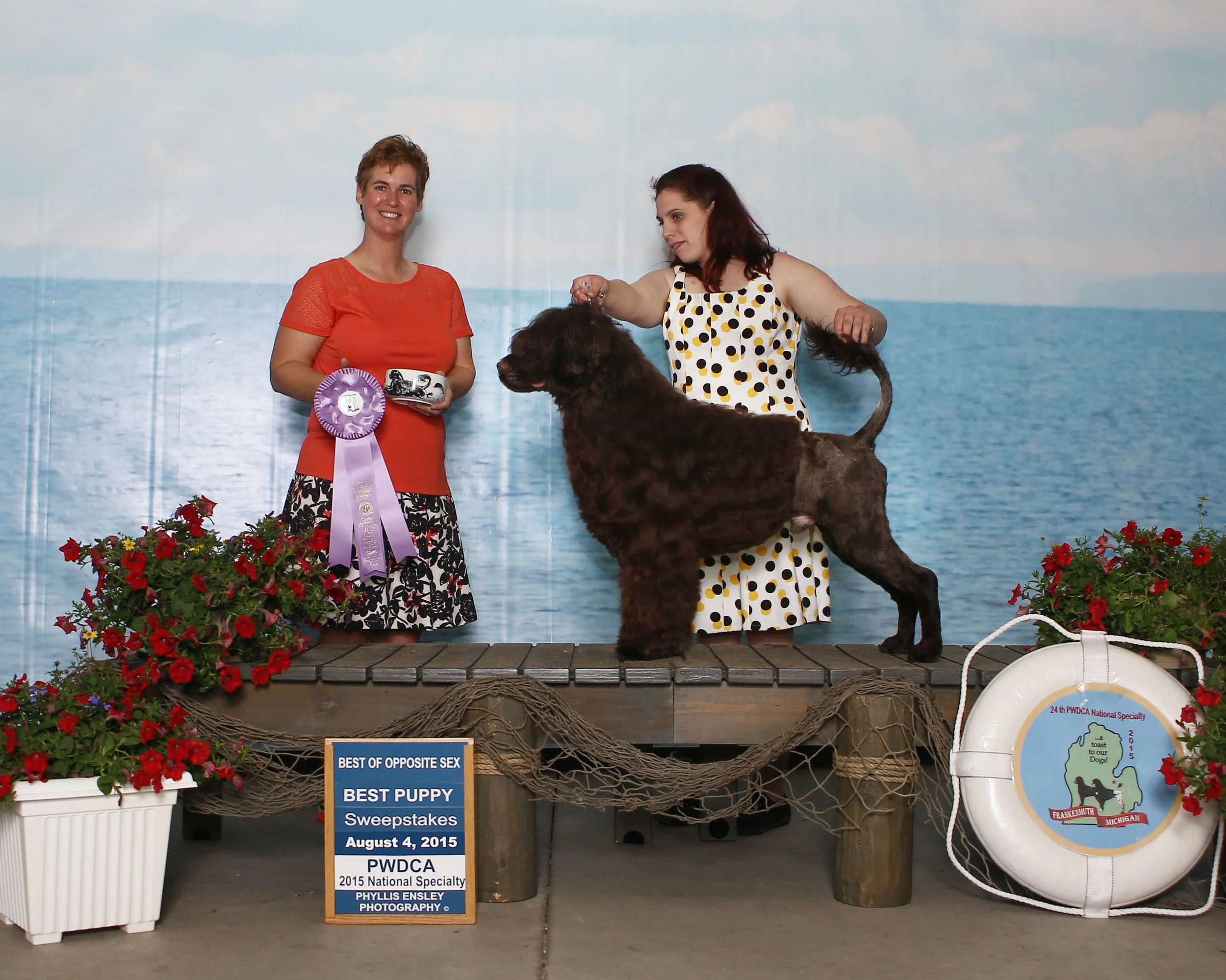 Two women presenting a large, fluffy dark brown dog at a dog show, with floral decorations and awards, and a sign indicating it won Best Puppy at the 2015 PWDCA National Specialty.