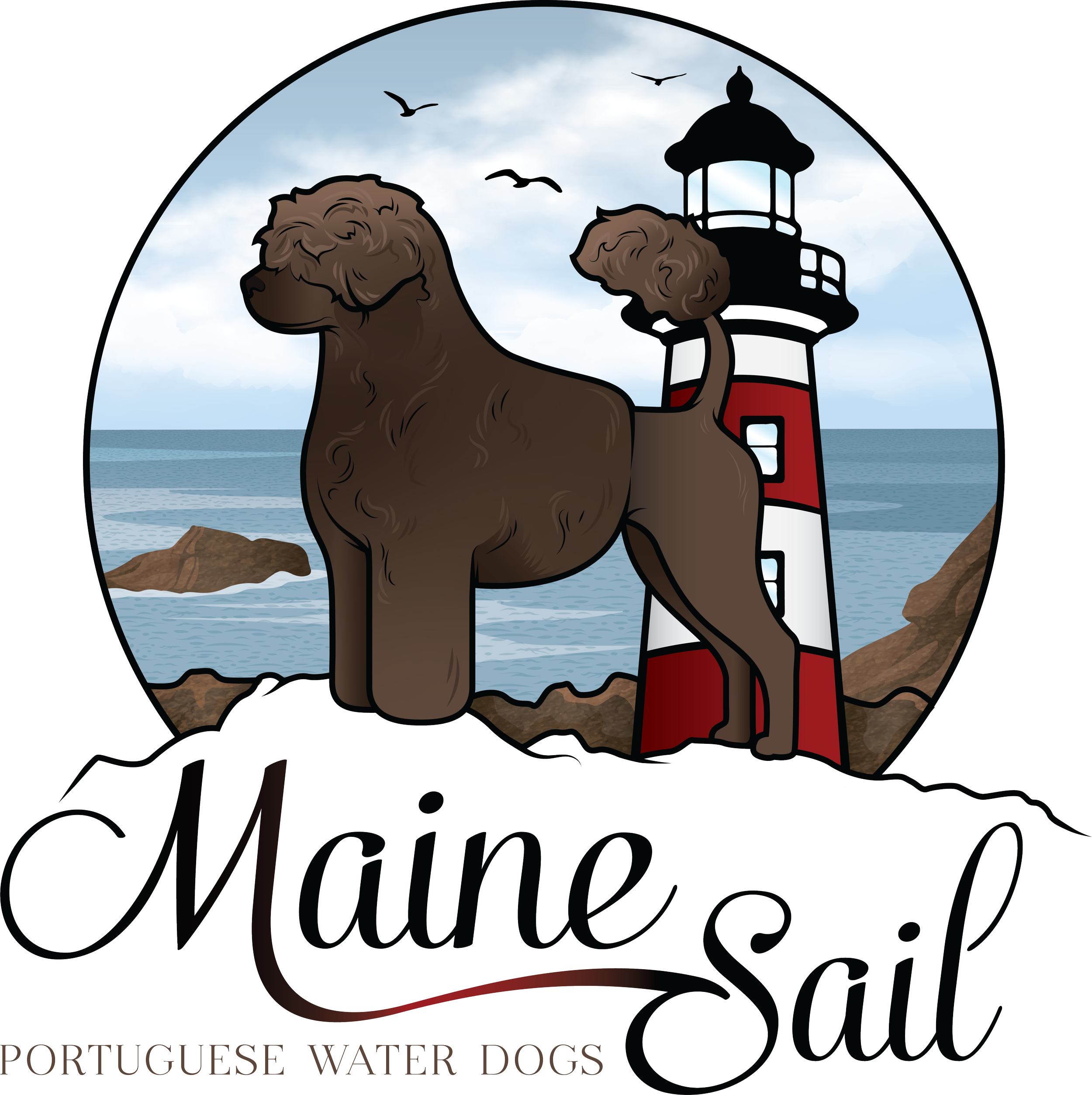 A Portuguese Water dog sitting on a rocky shore by the ocean with the sea, sky, and seagulls flying overhead in the background. The image is part of a design with text that reads 'Maine' and 'Portuguese Water Dogs'.