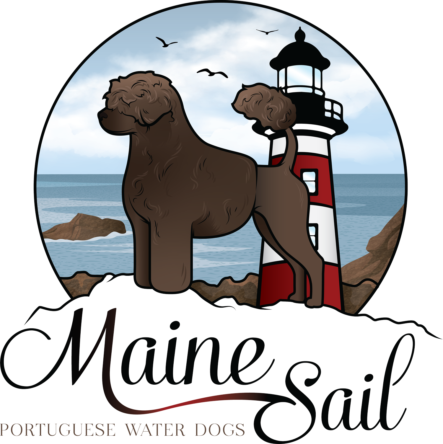 MaineSail Portuguese Water Dogs