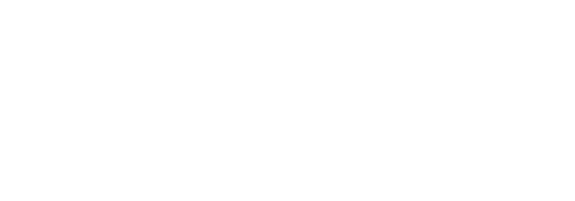 Berg Insurance Services