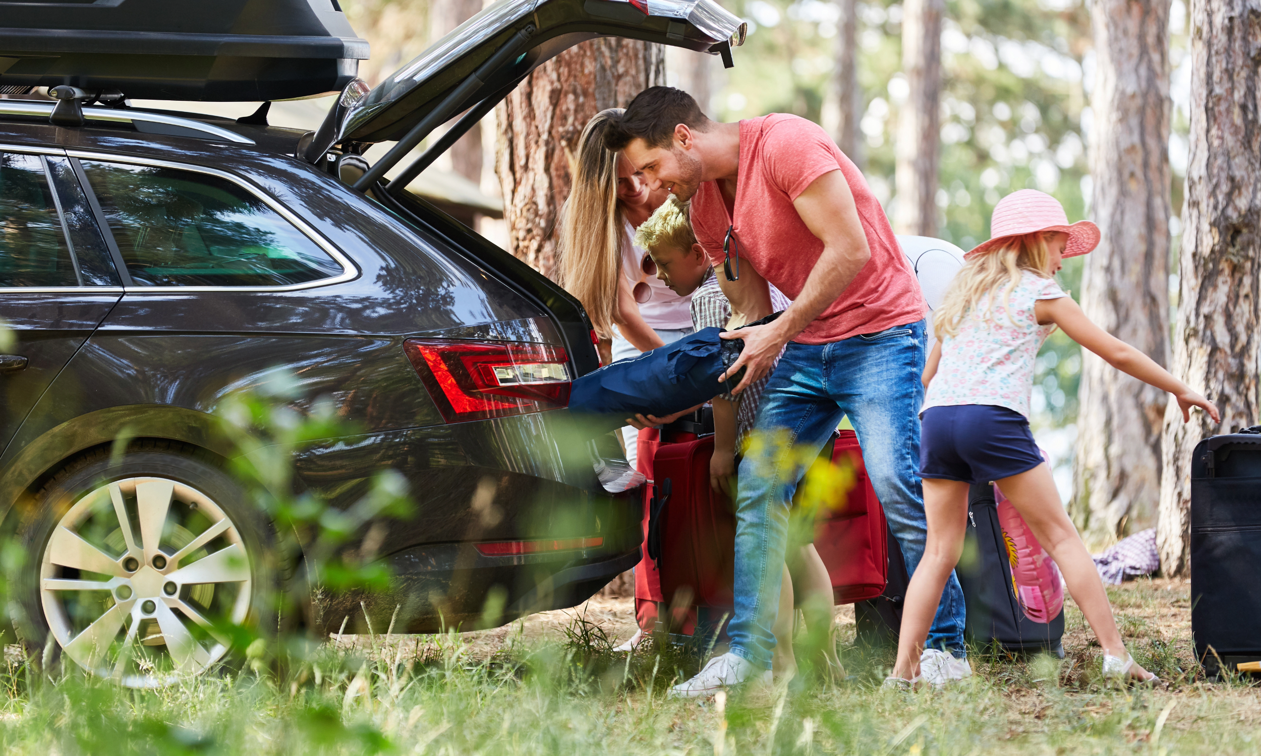 Summer Road Trip Guide