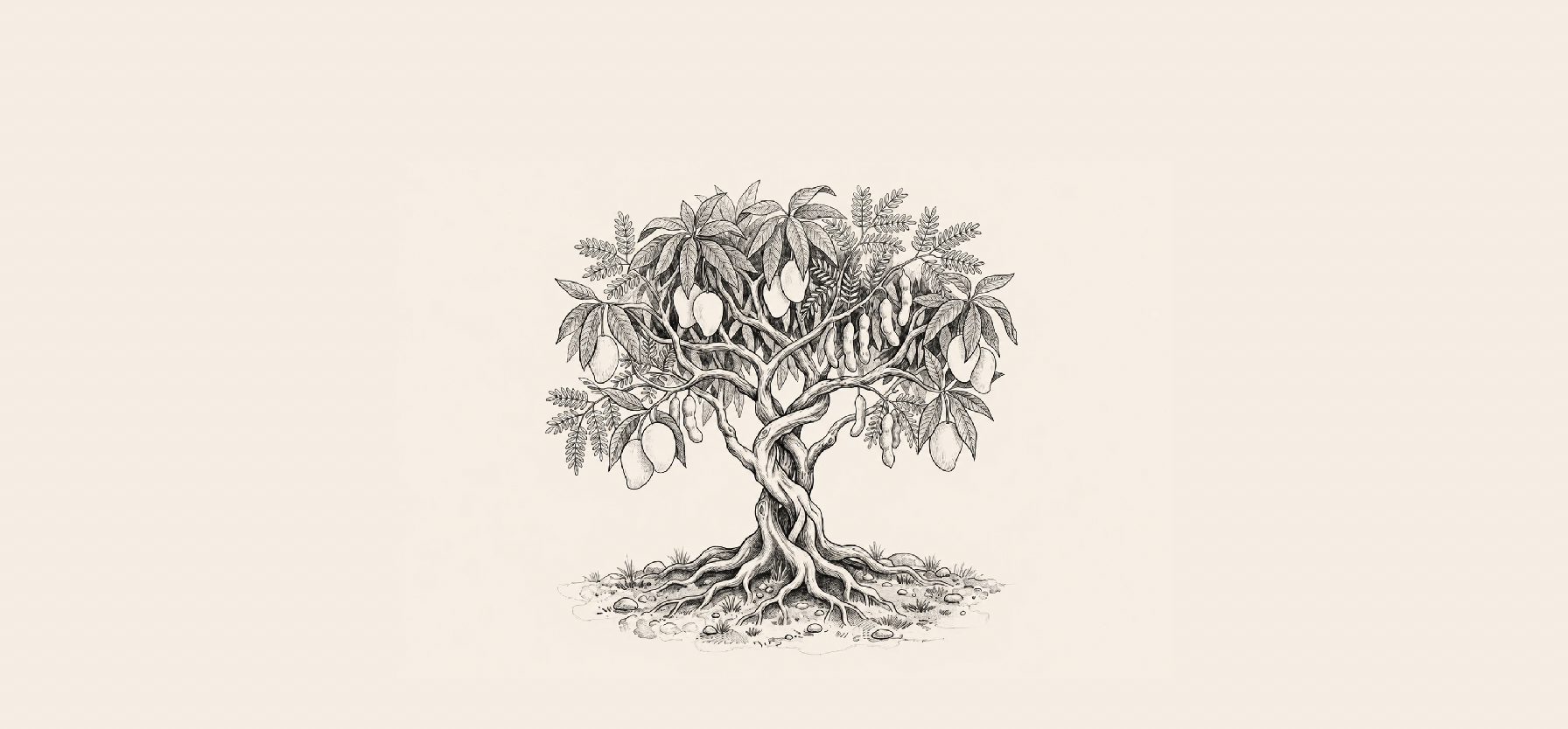 Black and white illustration of a fruit-bearing tree with twisted roots and branches, and large leaves and fruit.