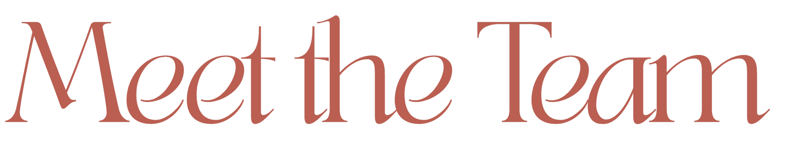 Text saying 'Meet the Team' in elegant brownish font.