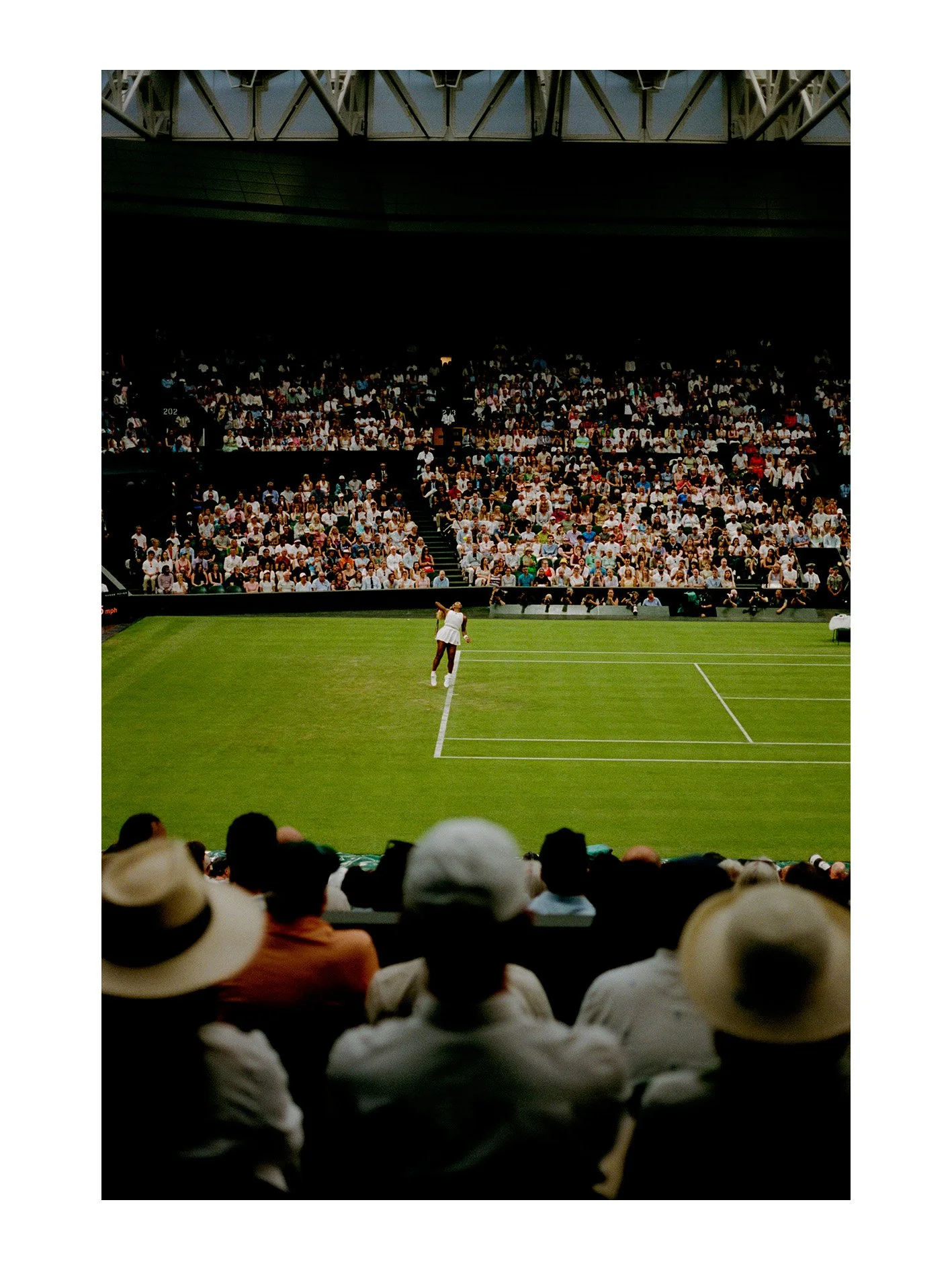 SERENA.jpg