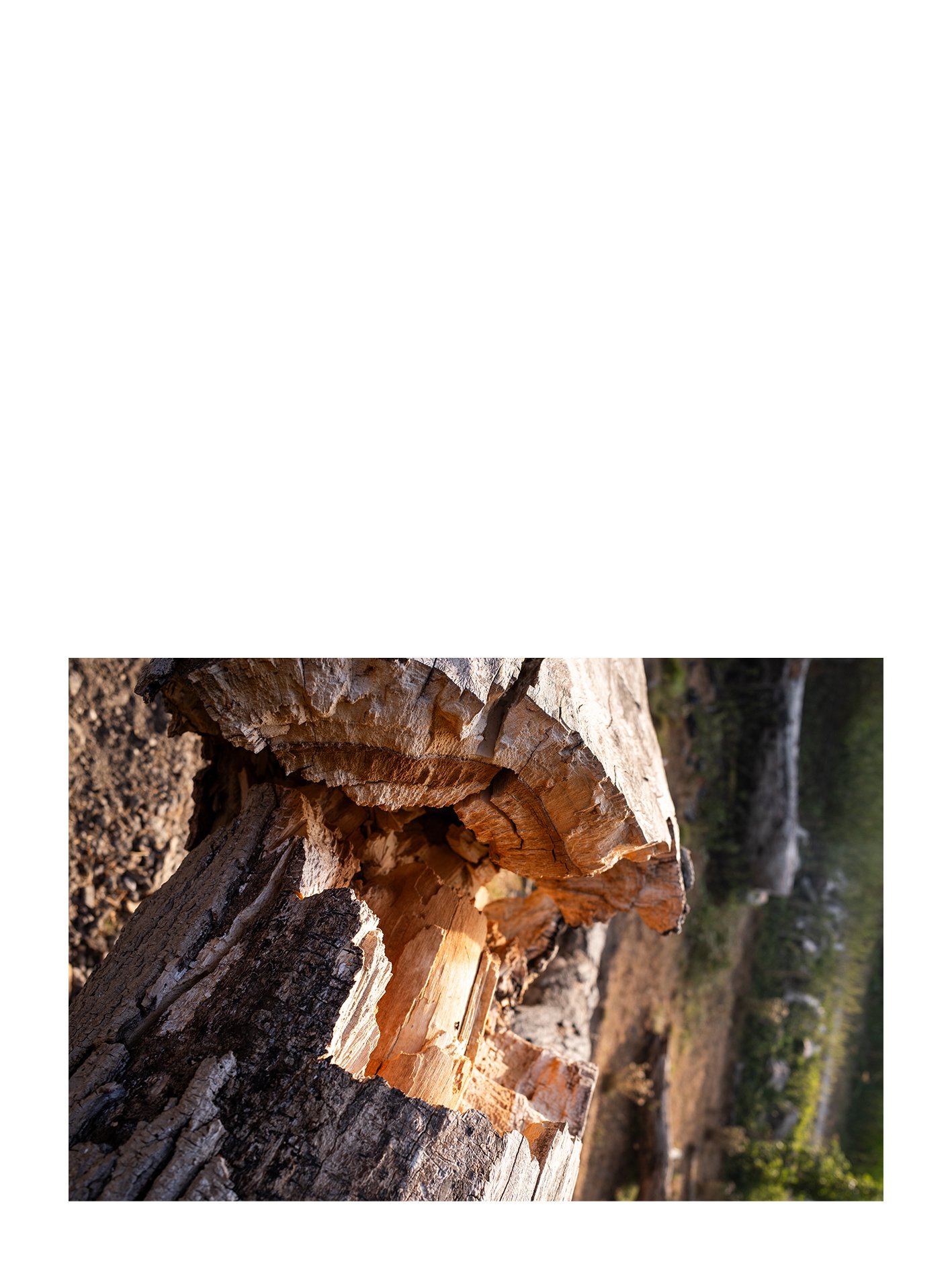Untitled-9.jpg