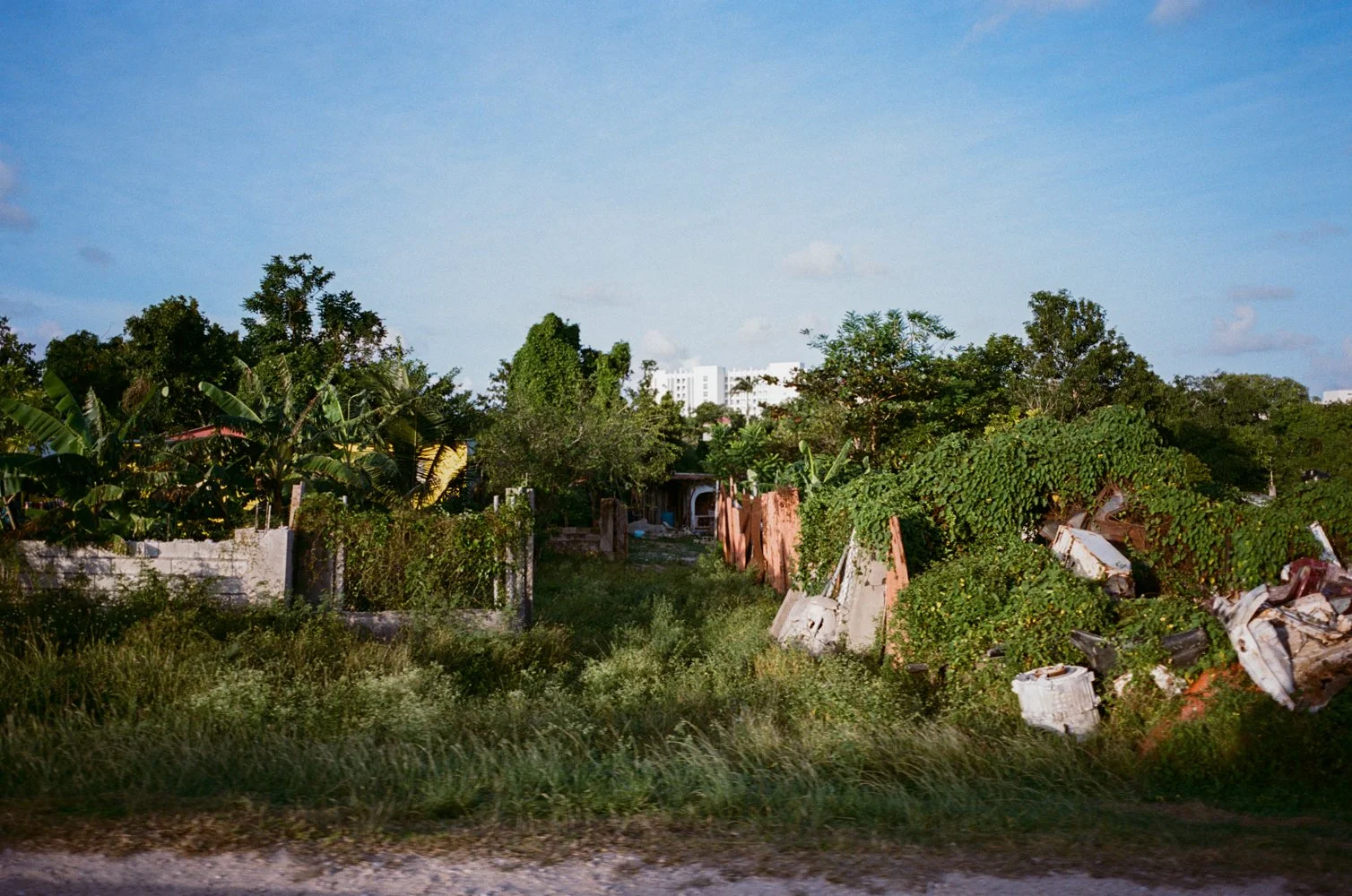 JA00015.jpg